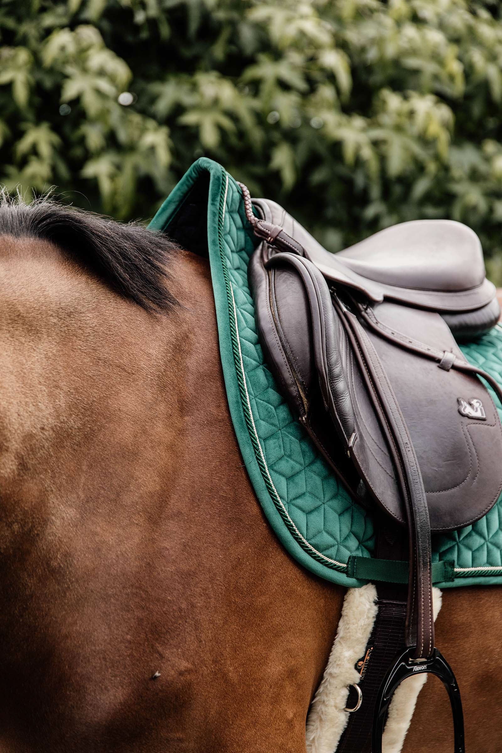 Kentucky Horsewear Velvet Jumping Saddle Pad Saddle Pads