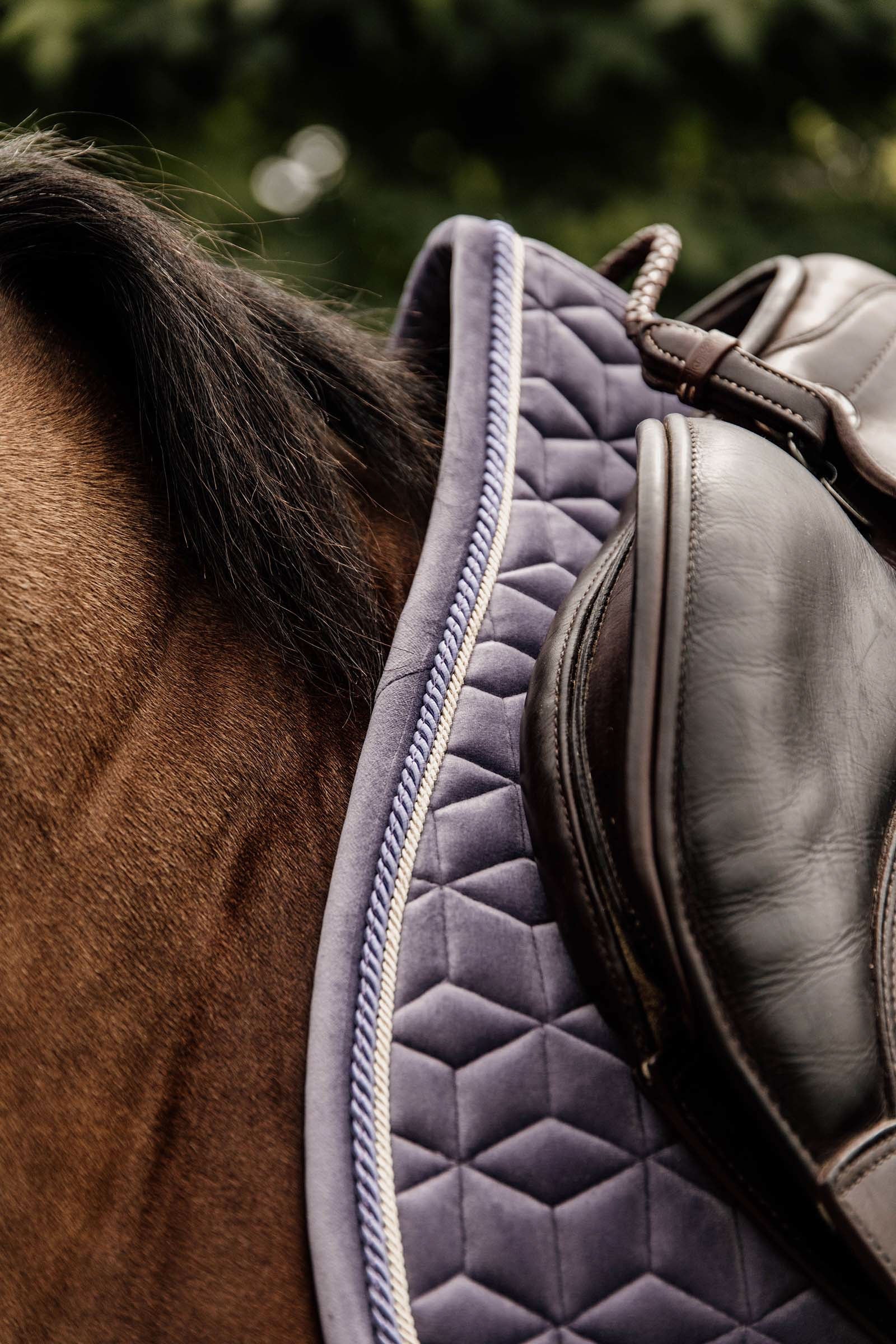 Kentucky Horsewear Velvet Jumping Saddle Pad Saddle Pads