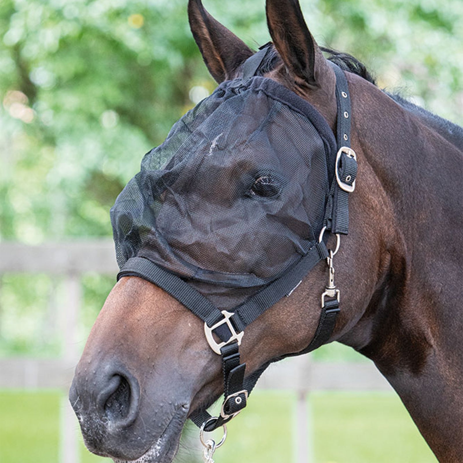 Harry's Horse Fly Mask Headcollar Halters & Leads