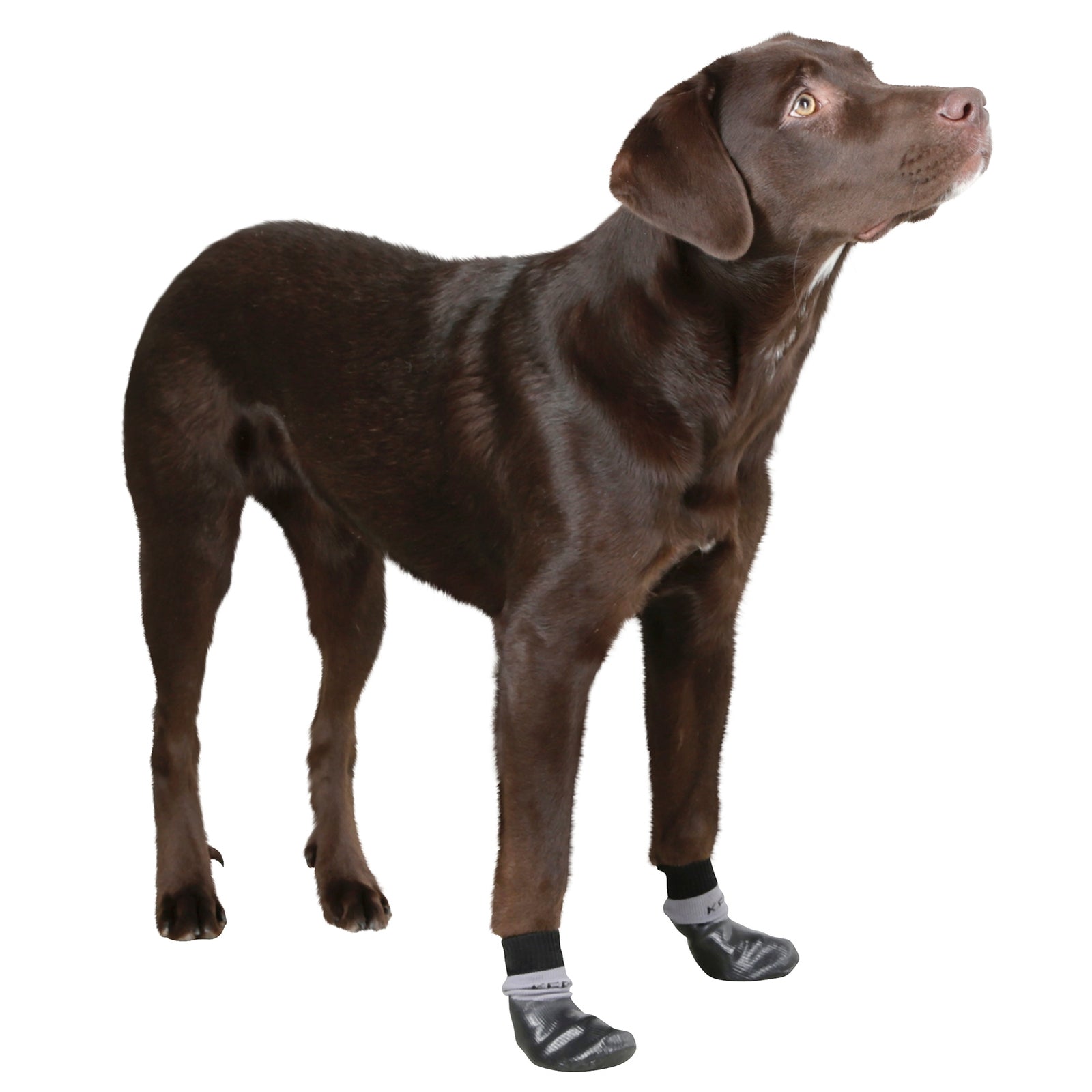 Kerbl Dog Socks Susi with Nitrile Coating, Size L-XL Dog Accesories