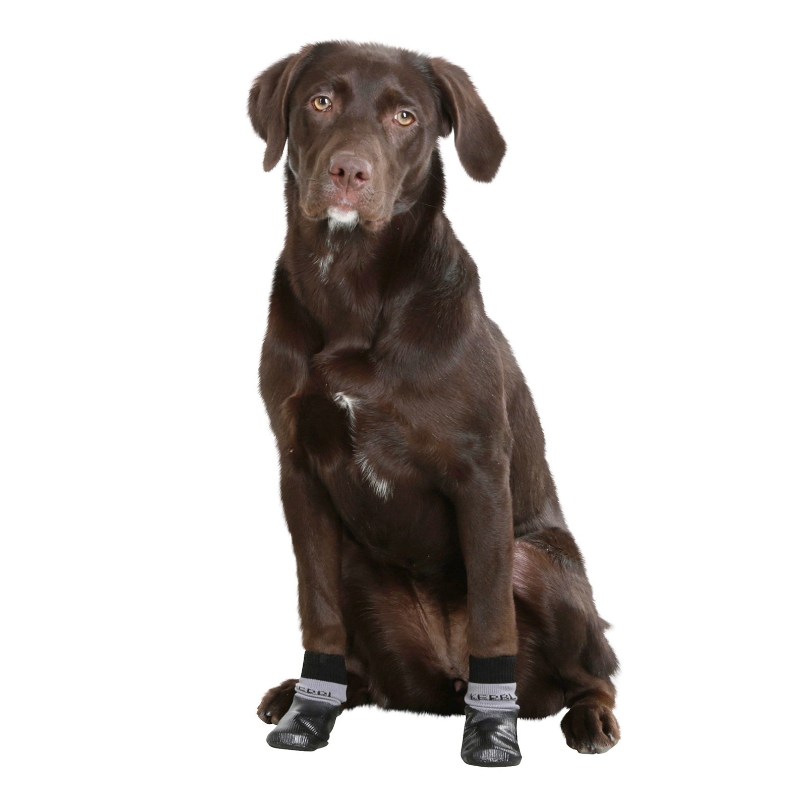 Kerbl Dog Socks Susi with Nitrile Coating, Size L-XL Dog Accesories