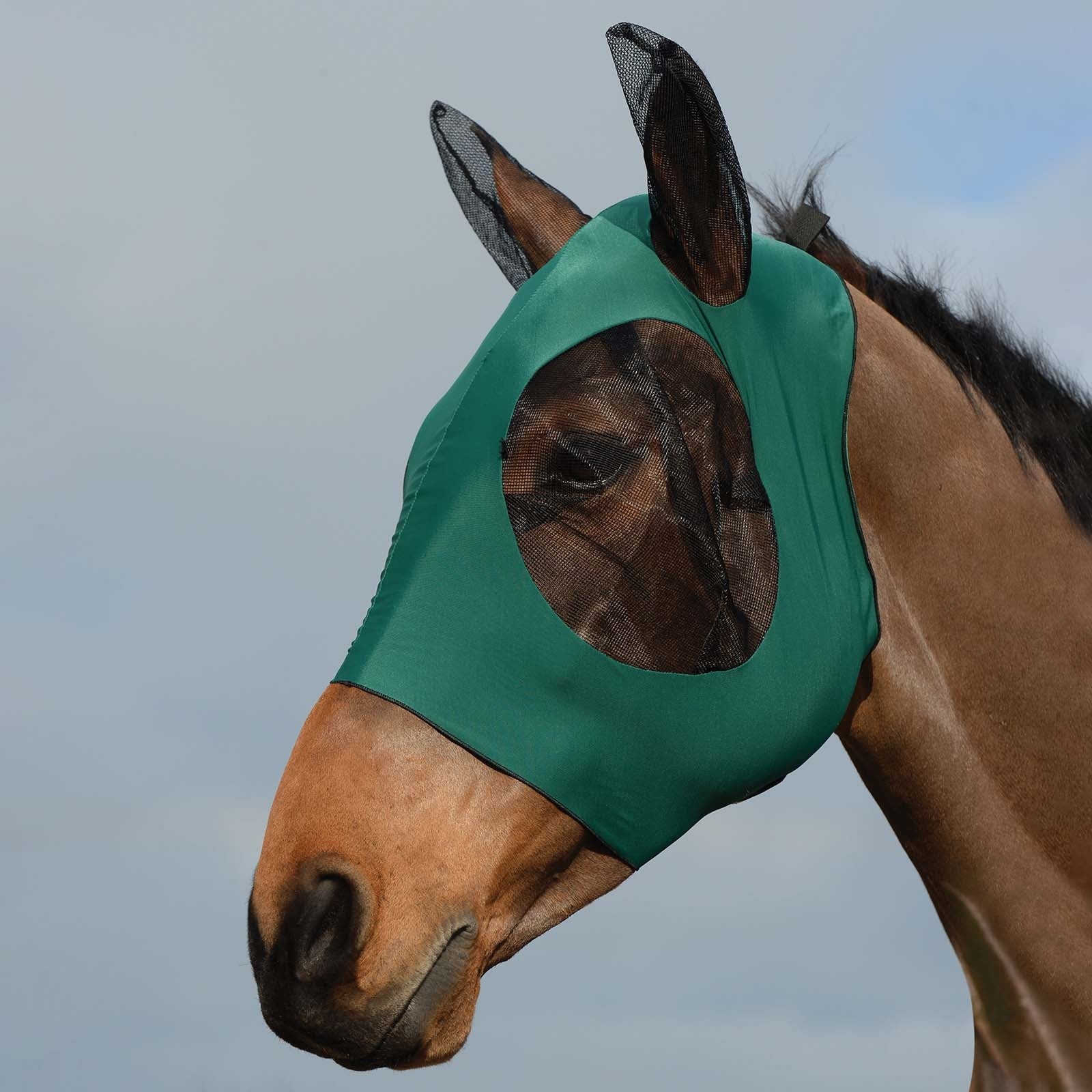 Weatherbeeta Stretch Bug Fly Mask With Ears Antifly Protection for Horses