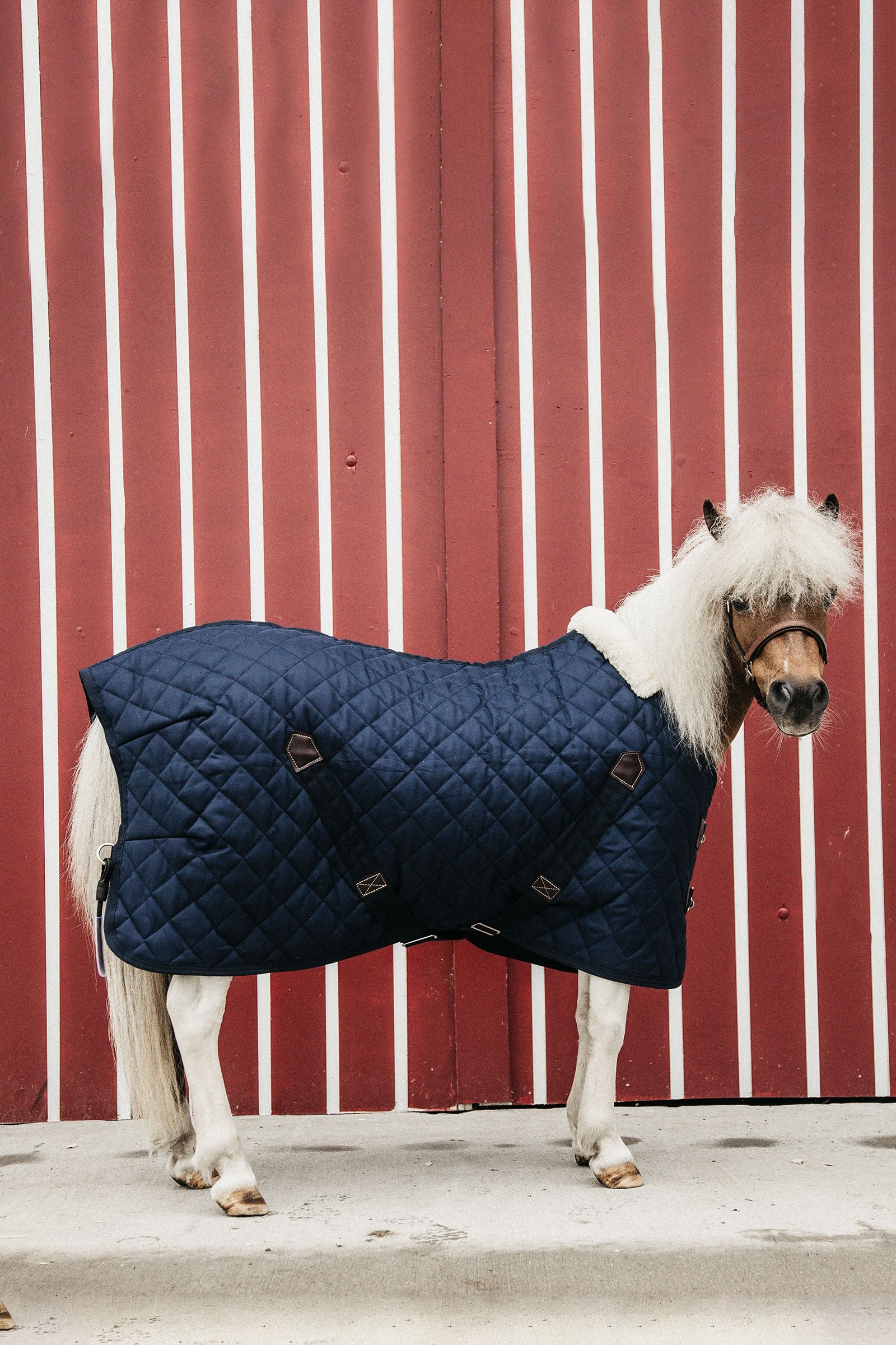 Kentucky Horsewear Tiny Pony Manta de establo, 400g Mantas Caballo