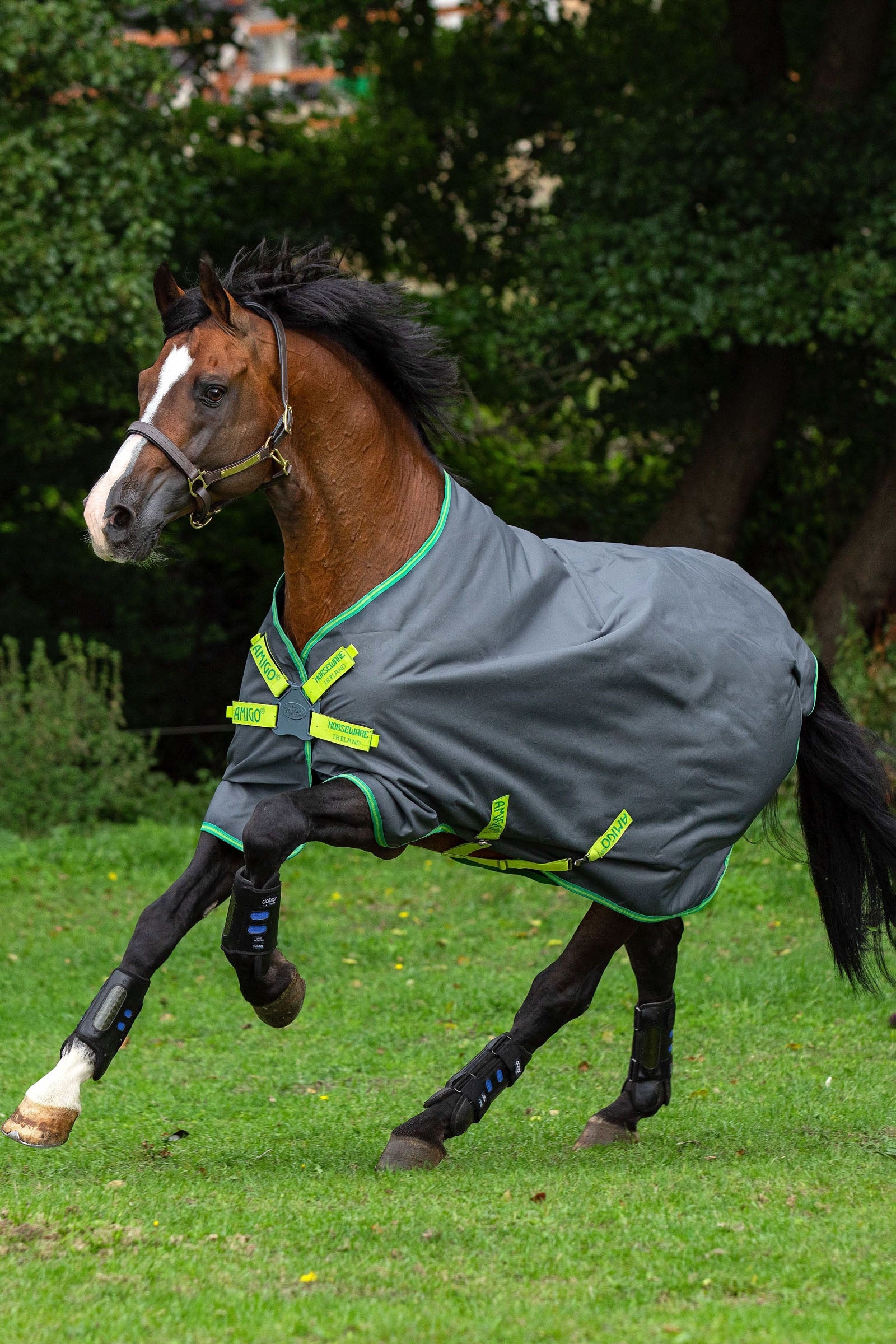 Horseware Manta de Exterior Horsewear Amigo Hero 900 Lite Disc, 0g Mantas Caballo