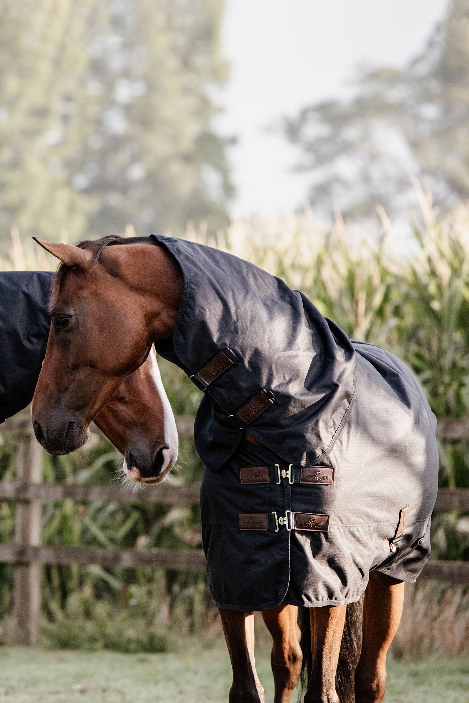 Kentucky Horsewear - Manta clásica impermeable para todo tipo de clima, 0 g Mantas Caballo