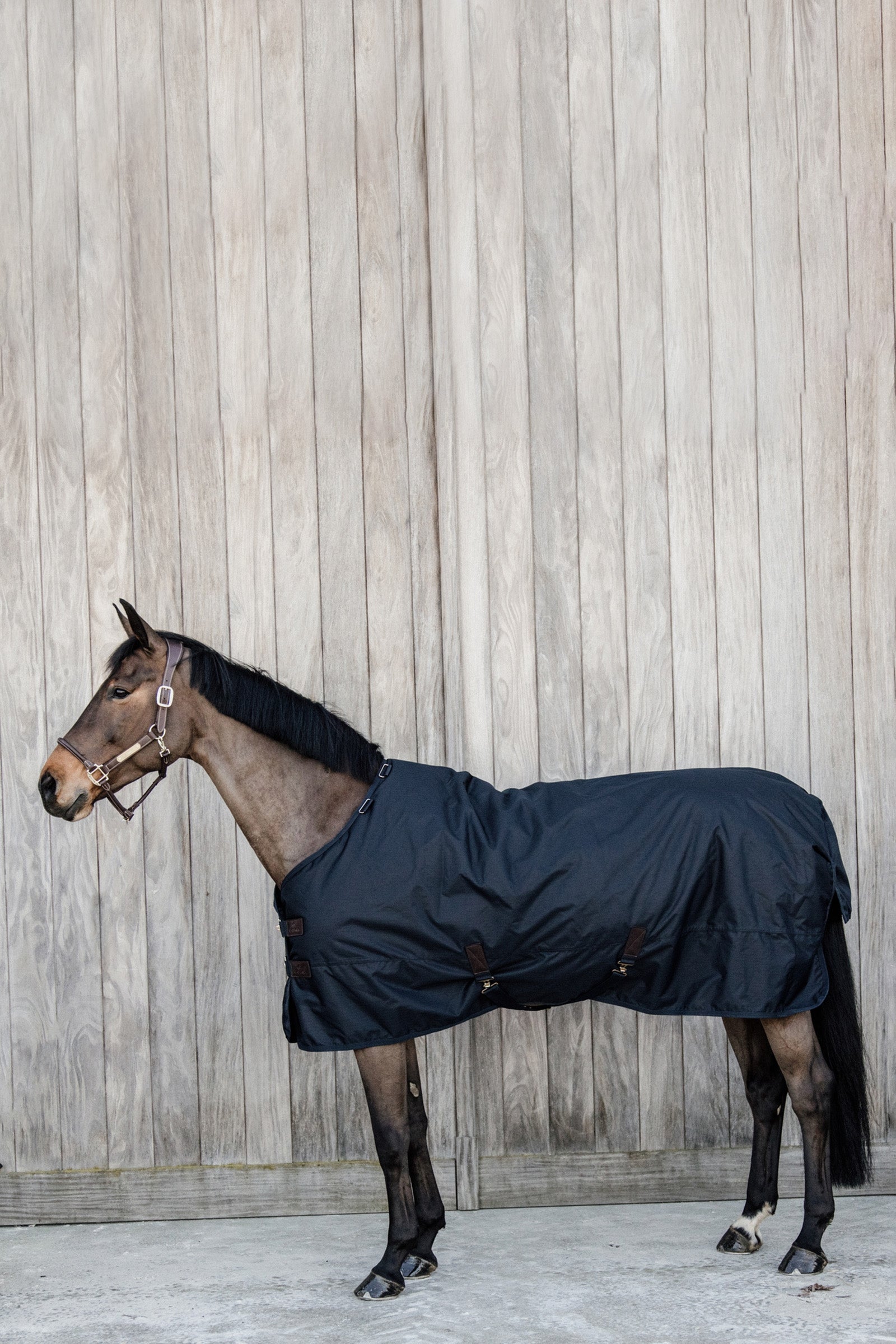 Kentucky Horsewear Turnout Rug All Weather Classic impermeable, 50 g Mantas Caballo