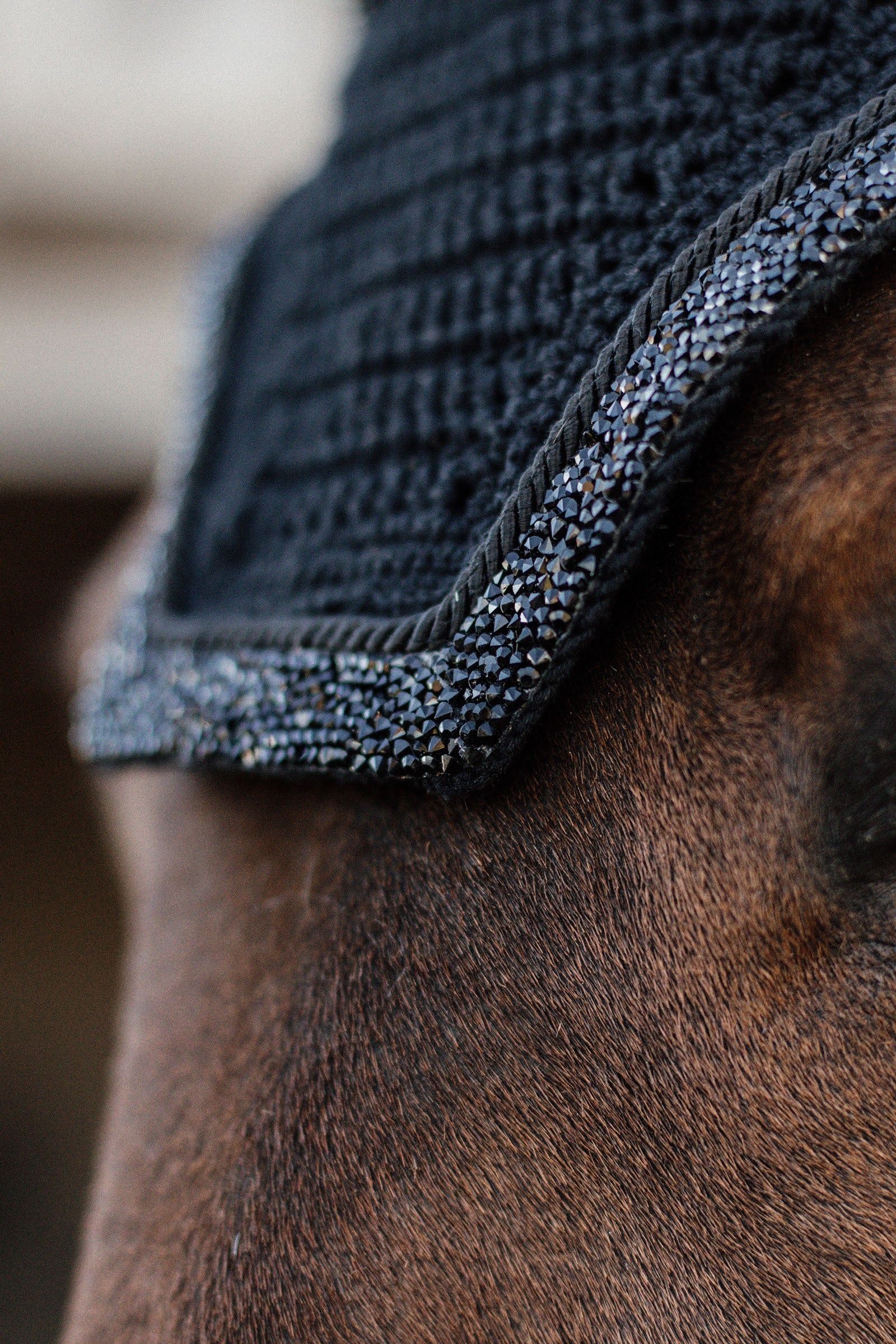 Kentucky Horsewear Fly Veil Wellington Glitter Stone Soundless Saddle Pads