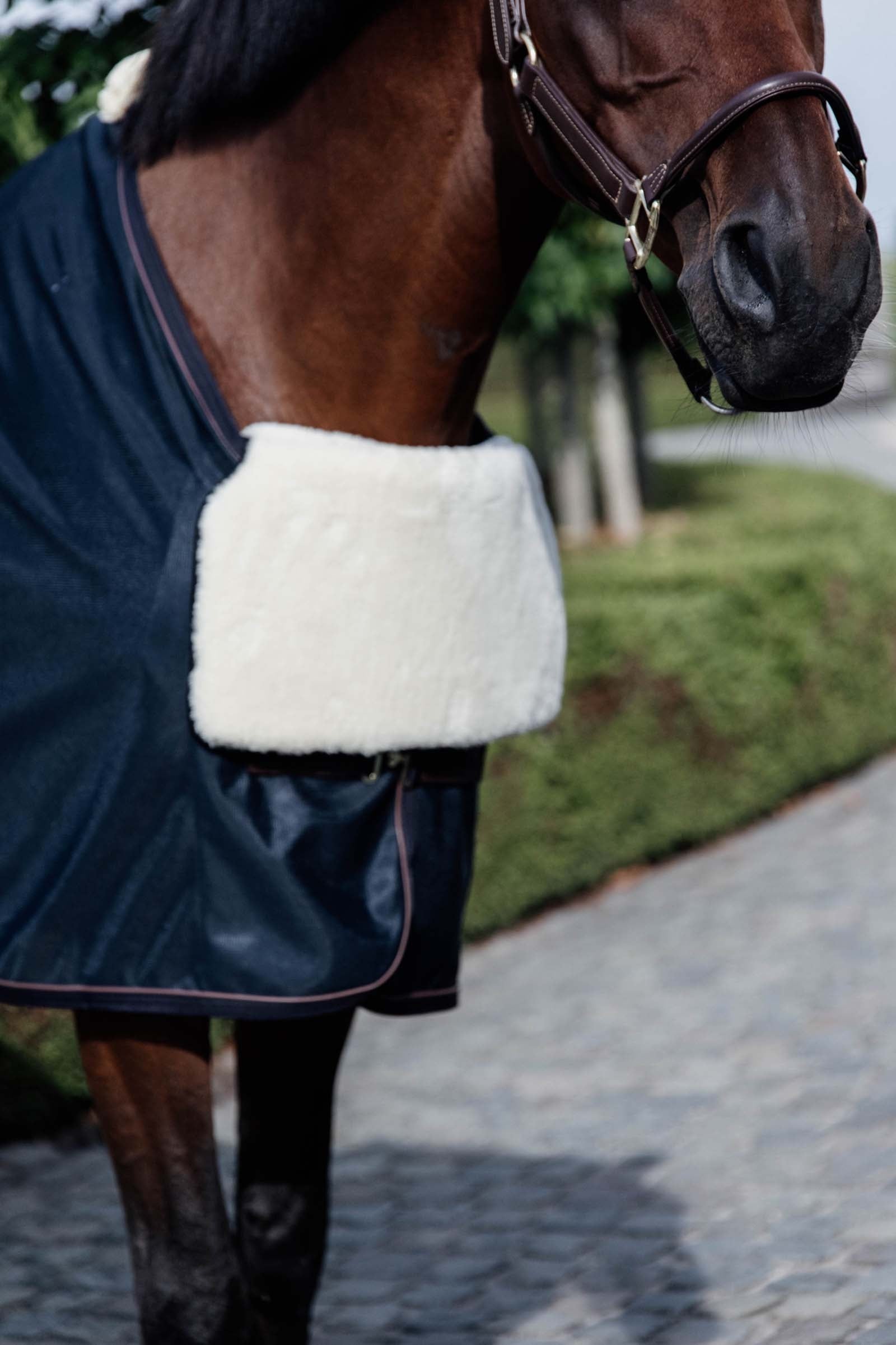 Kentucky Horsewear Horse BIB Protector de pecho de piel de oveja Mantas Caballo