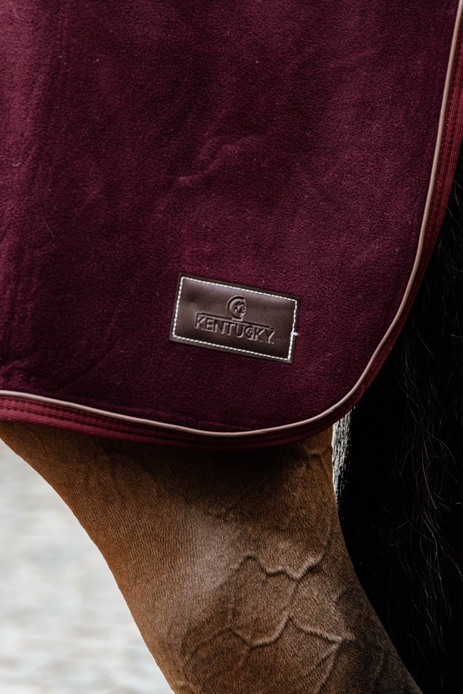 Kentucky Horsewear Quarter Rug Heavy Fleece Horse Rugs