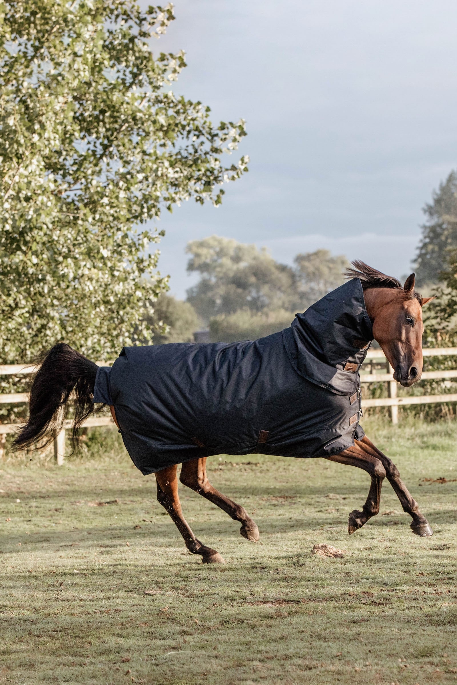 Kentucky Horsewear Classic Manta de Exterior impermeable para todo tipo de clima, 150g Mantas Caballo