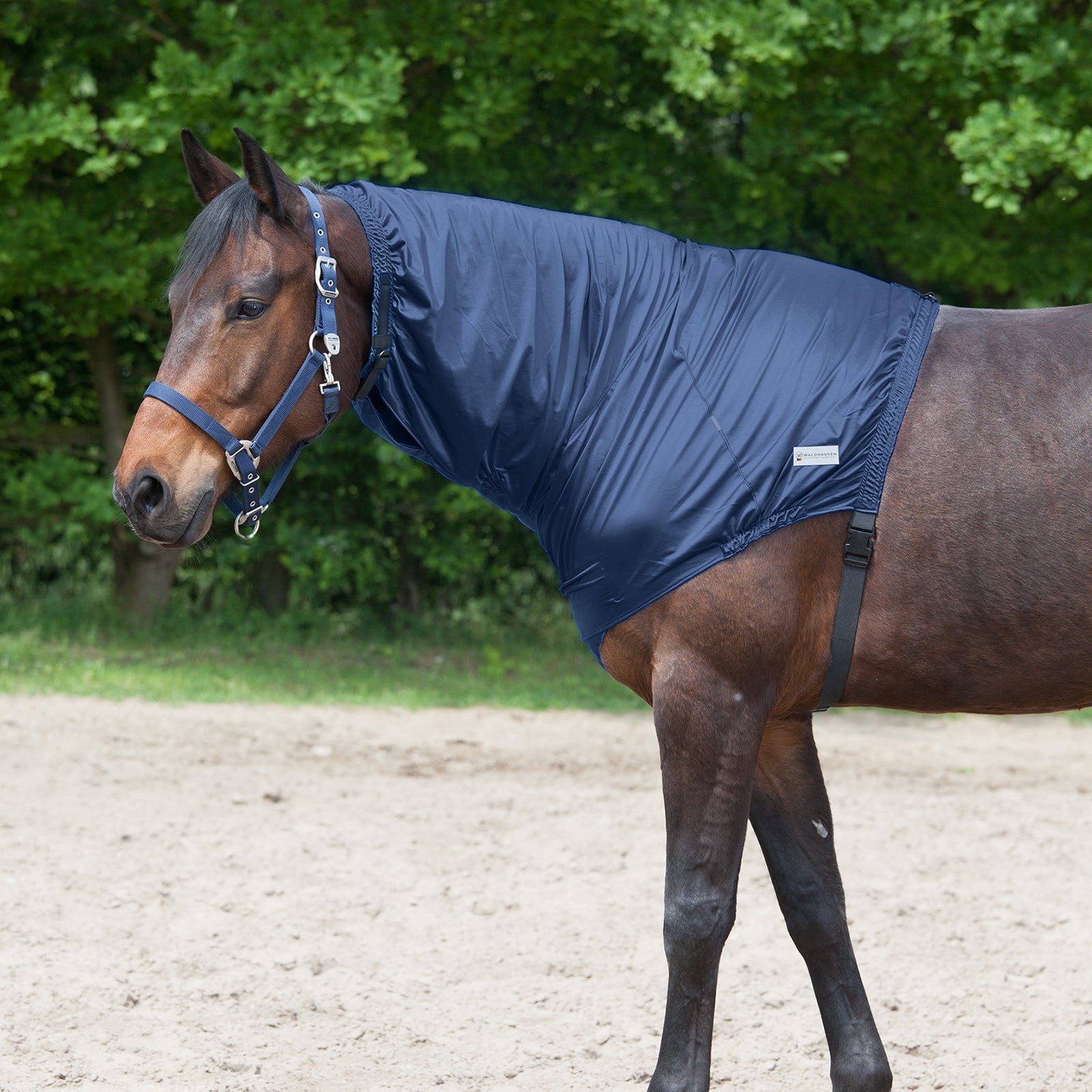 Waldhausen Pieza para el cuello Eczema Mantas Caballo