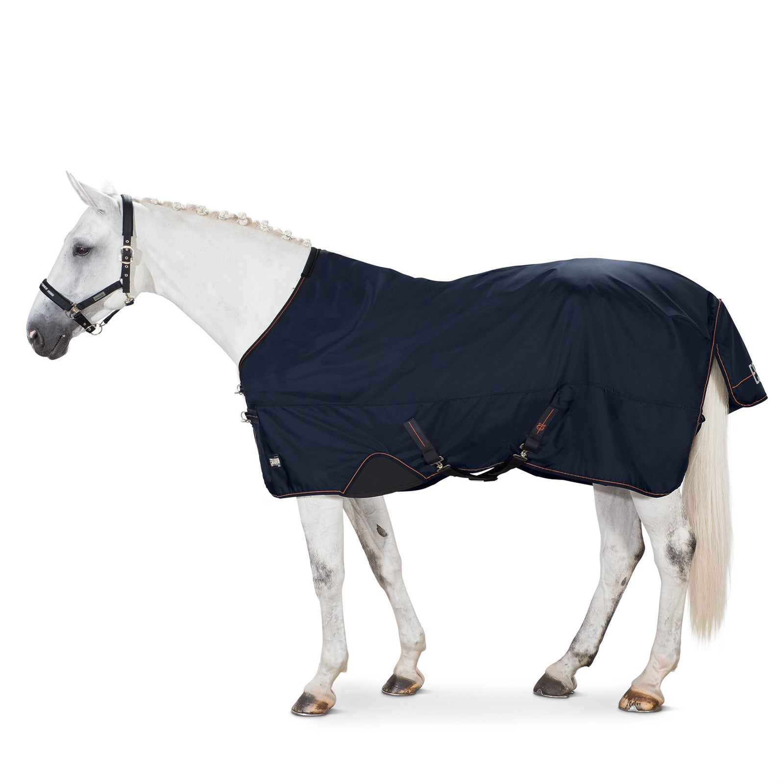 Eskadron Manta de Exterior Alpha, 50g Mantas Caballo