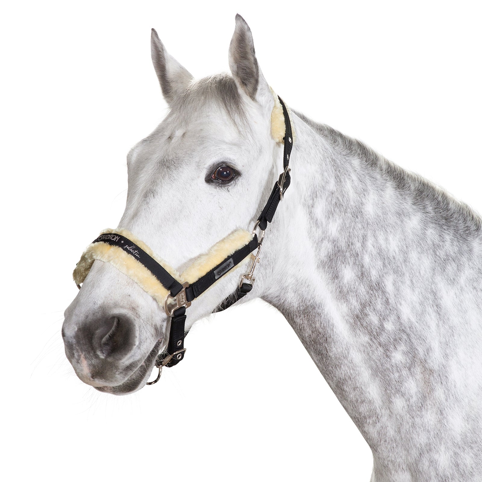 Eskadron Cabezada de Cuadra Piel Sintético Hebilla Rectangular Cabezadas de cuadra & Ramales