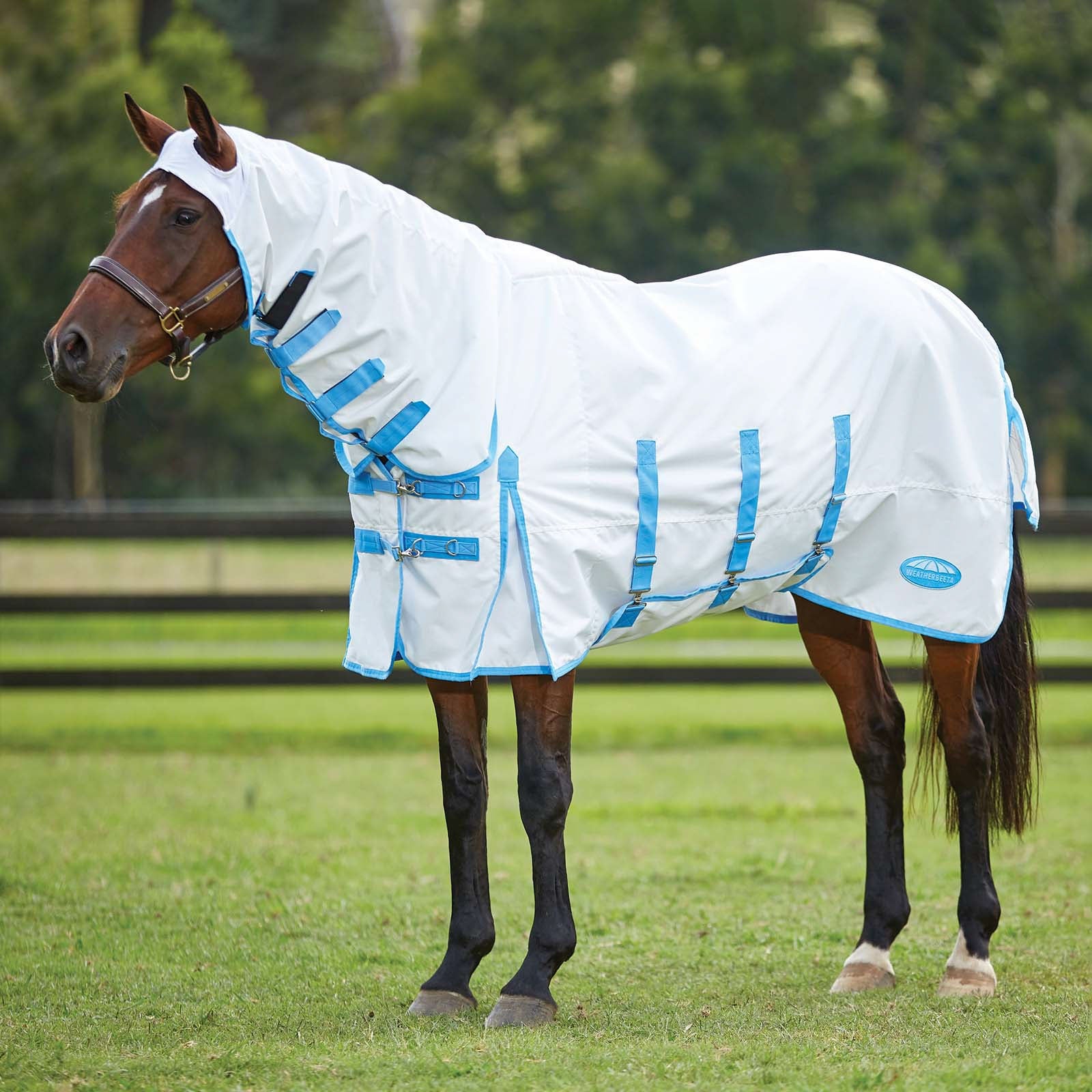 Weatherbeeta Comfitec manta Sweet Itch Anti-eccema con cuello fijo Mantas Caballo