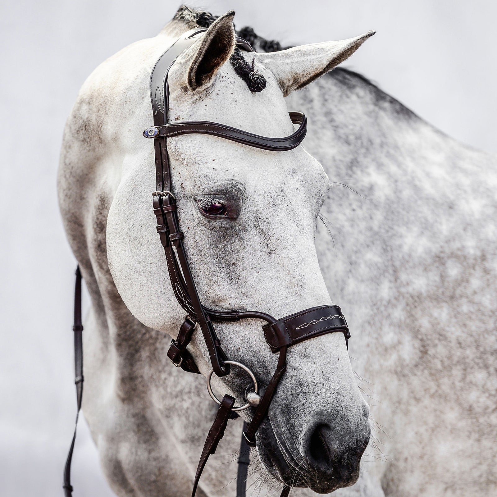 PS of Sweden High Jump Bridle Bridles & Reins
