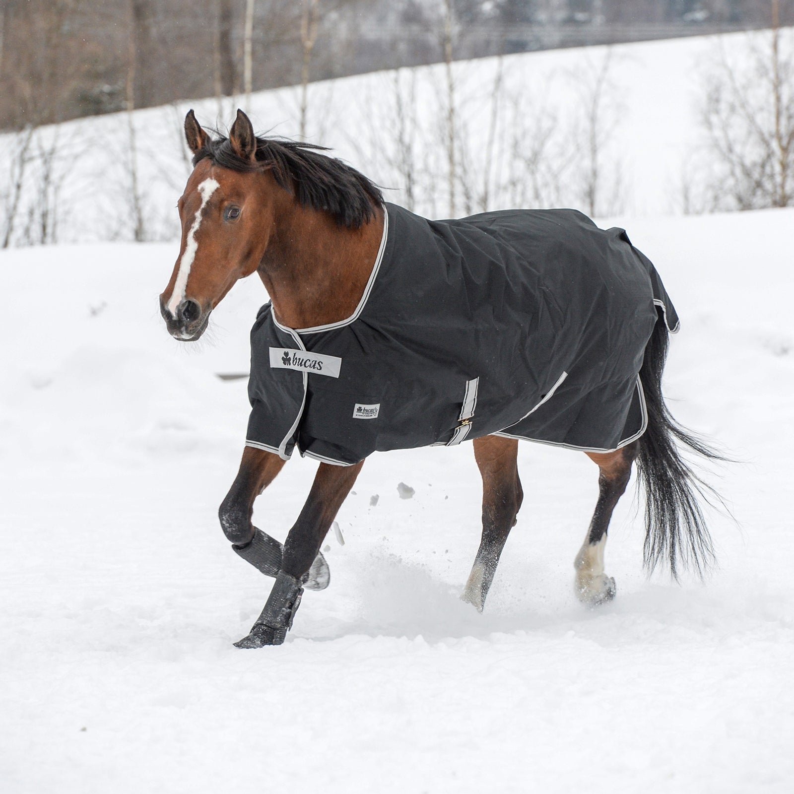 Bucas Anniversary Light SD Turnout Rug, 150g Horse Rugs