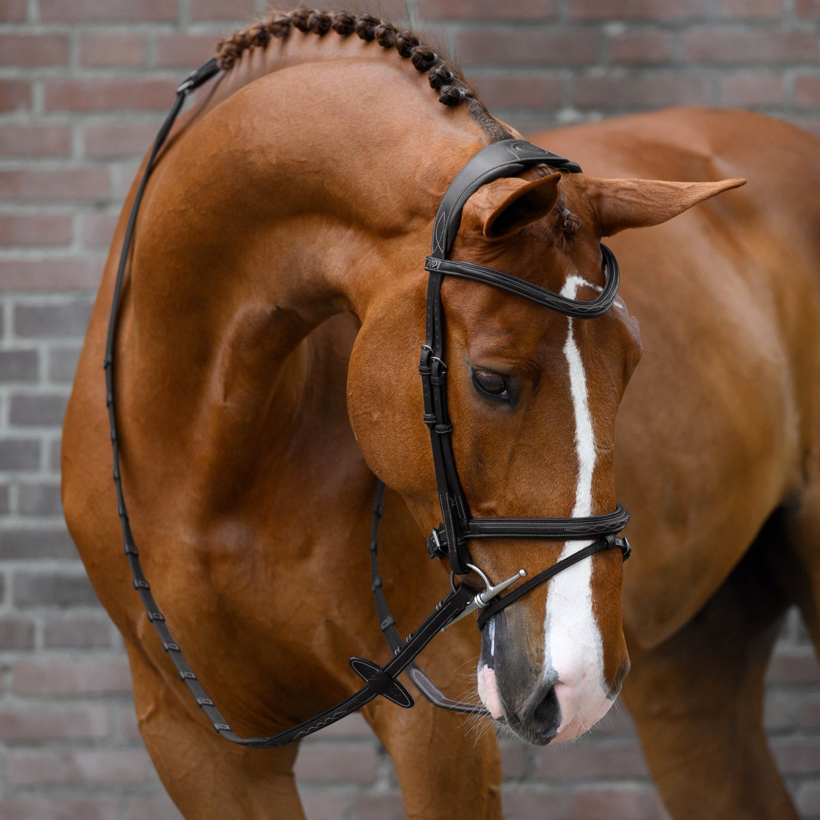 PS of Sweden bridle Stockholm Bridles & Reins
