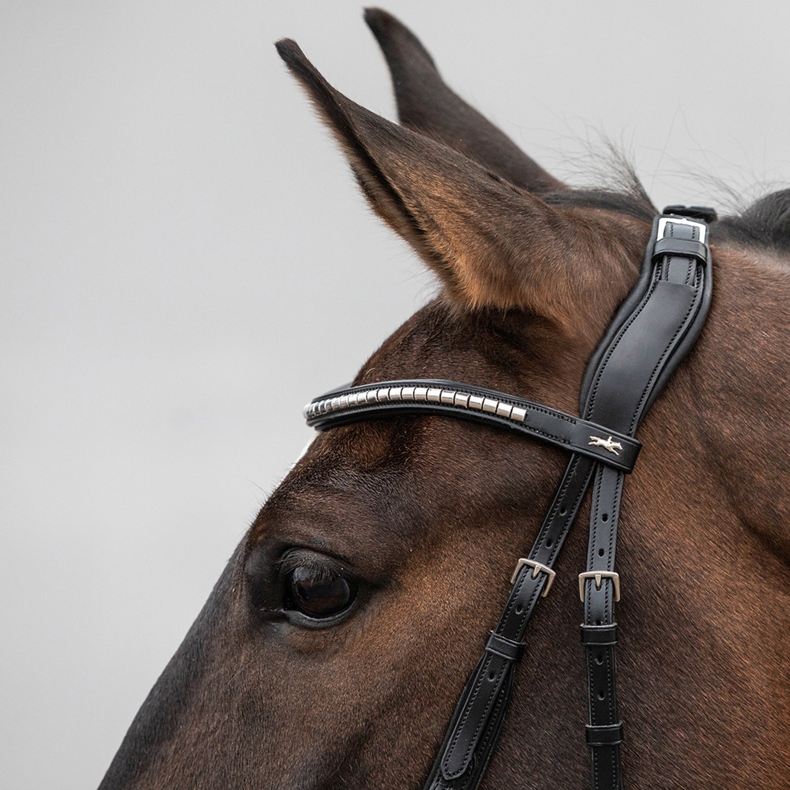 Schockemöhle Sports Equitus Rho Headpiece Bridles & Reins