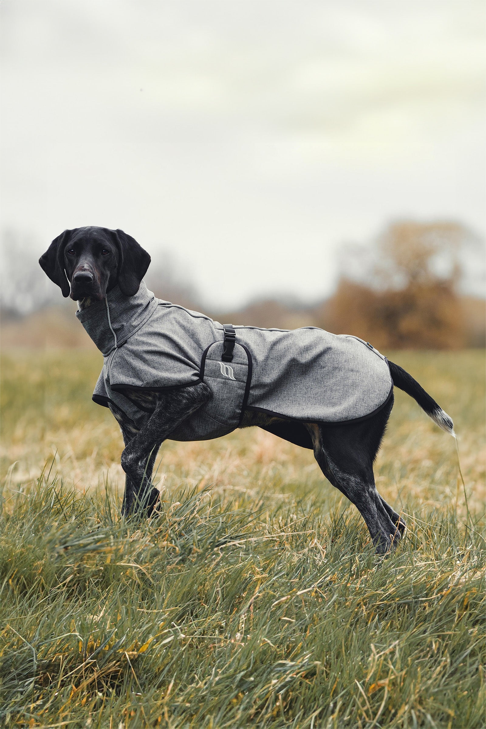 Back on Track Bark All-Round Dog Coat, 55-65cm Dog Accesories