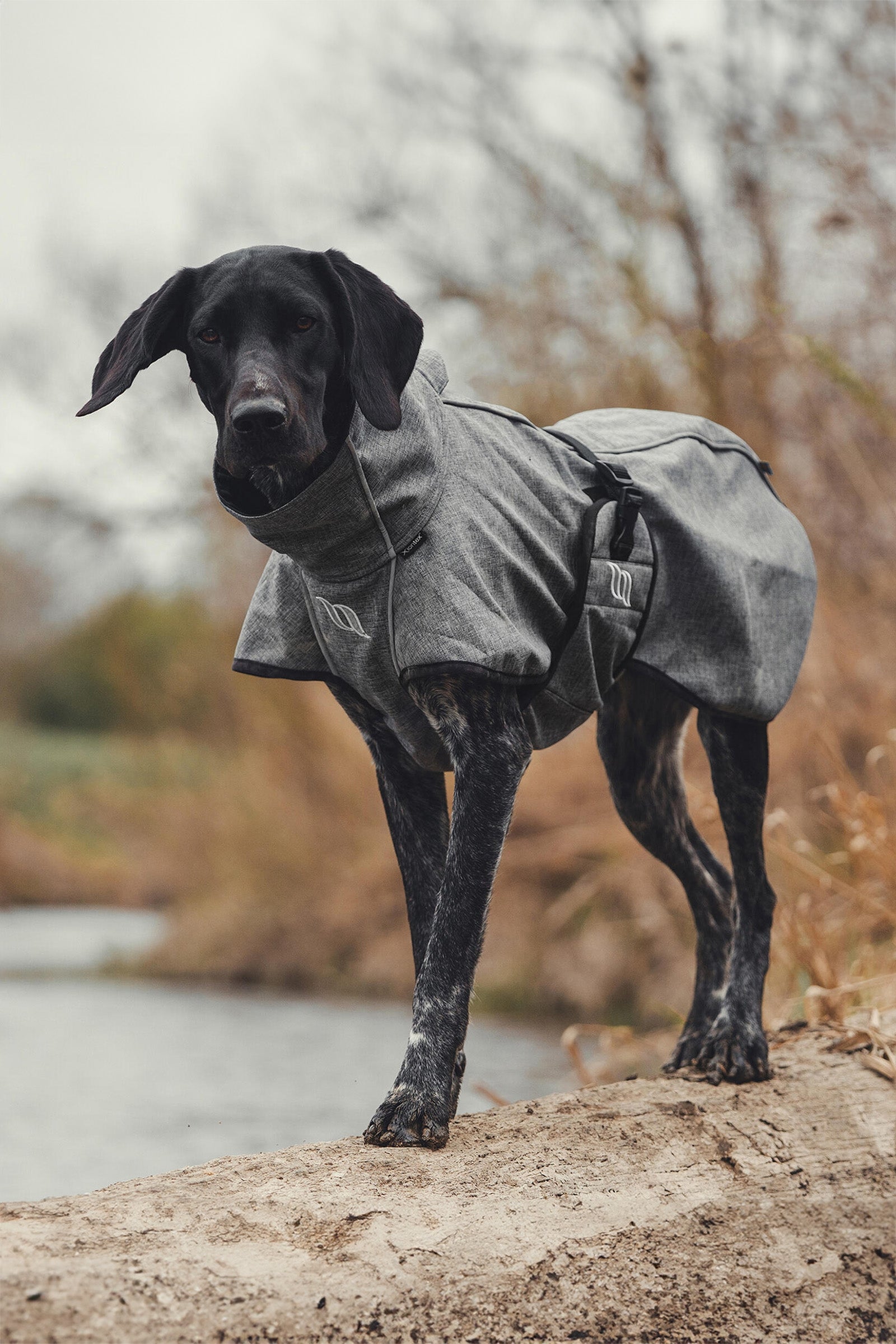 Back on Track Bark All-Round Dog Coat, 70-80cm Dog Accesories