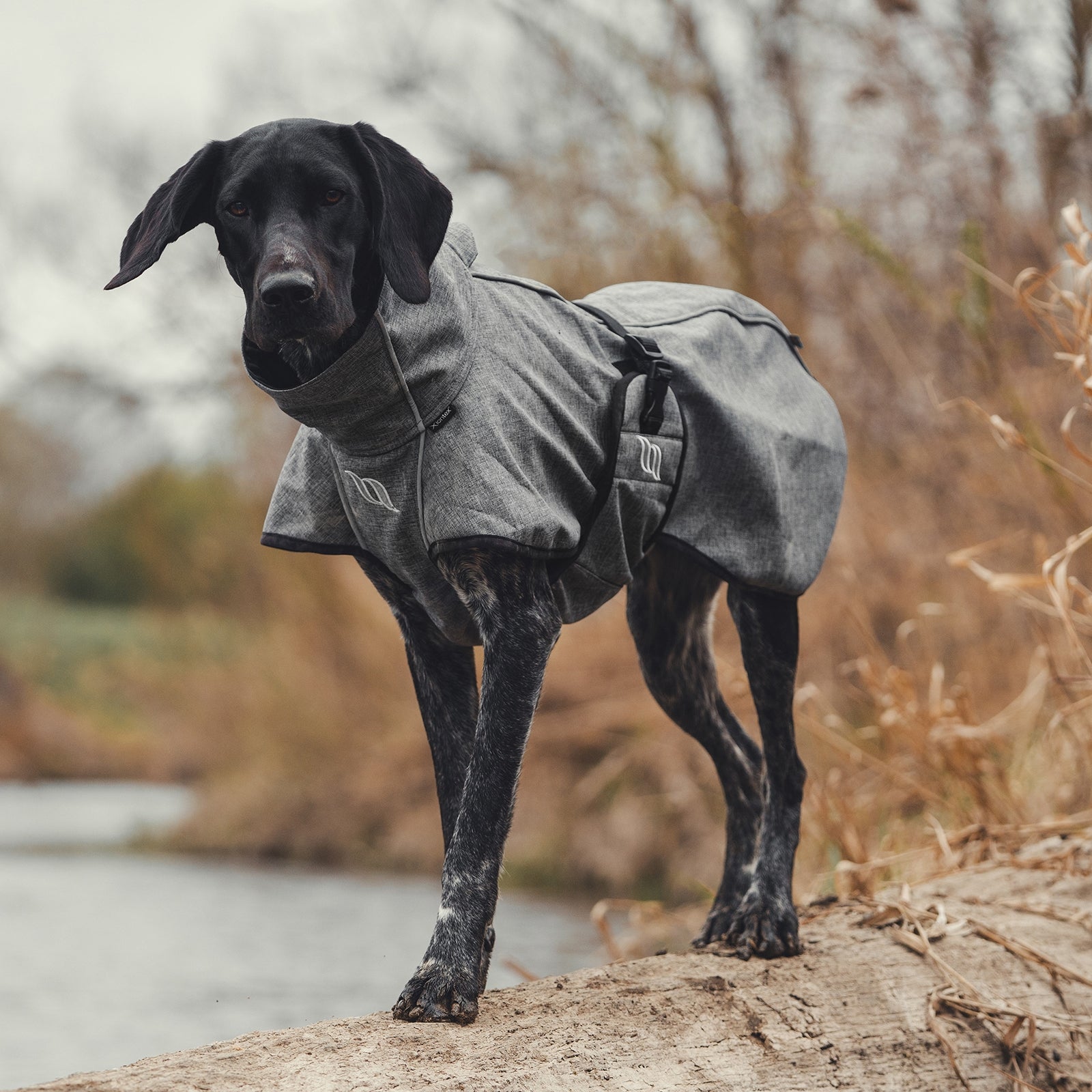 Back on Track Bark All-Round Dog Coat, 85-90cm Dog Accesories