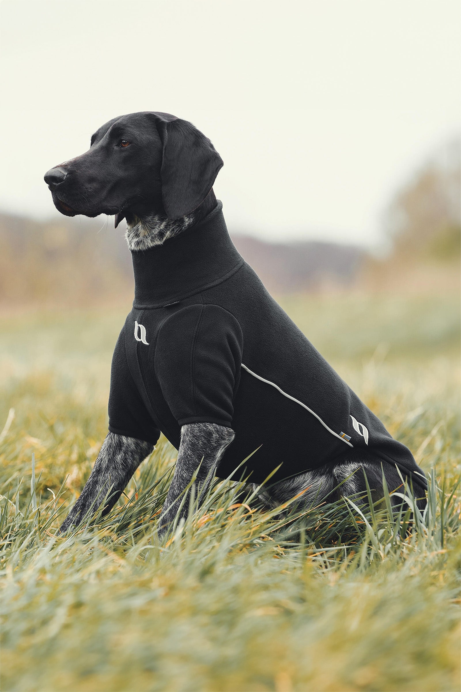 Back on Track Cassie All-Weather Jumper, 65-70cm Dog Accesories