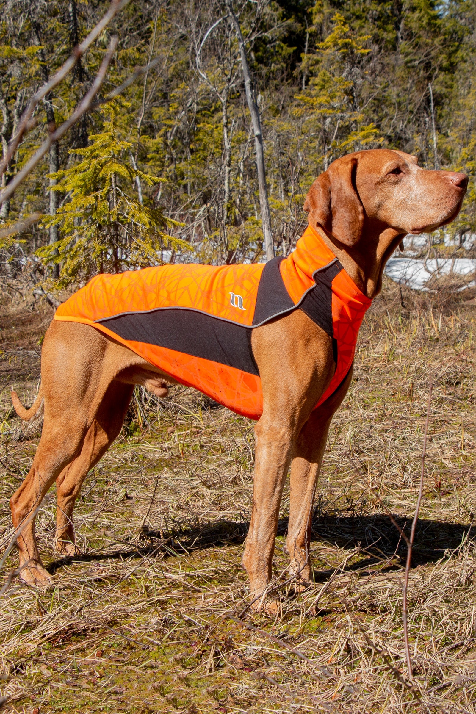 Back on Track Eddie High-Visibility Jumper, 60-70cm Dog Accesories