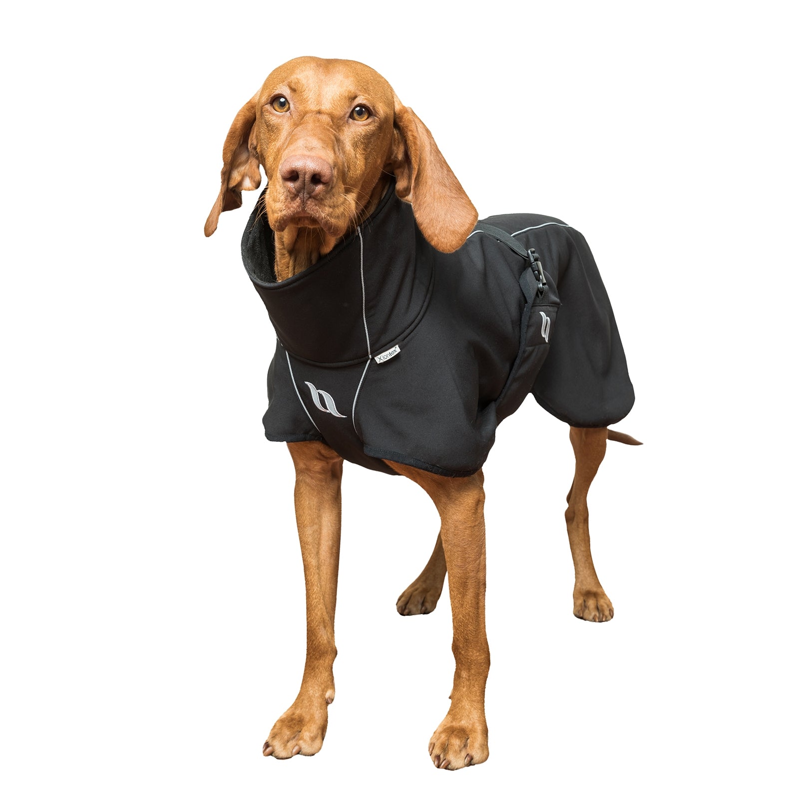 Back on Track Nella All-Round Dog Coat 55-65 cm Dog Accesories