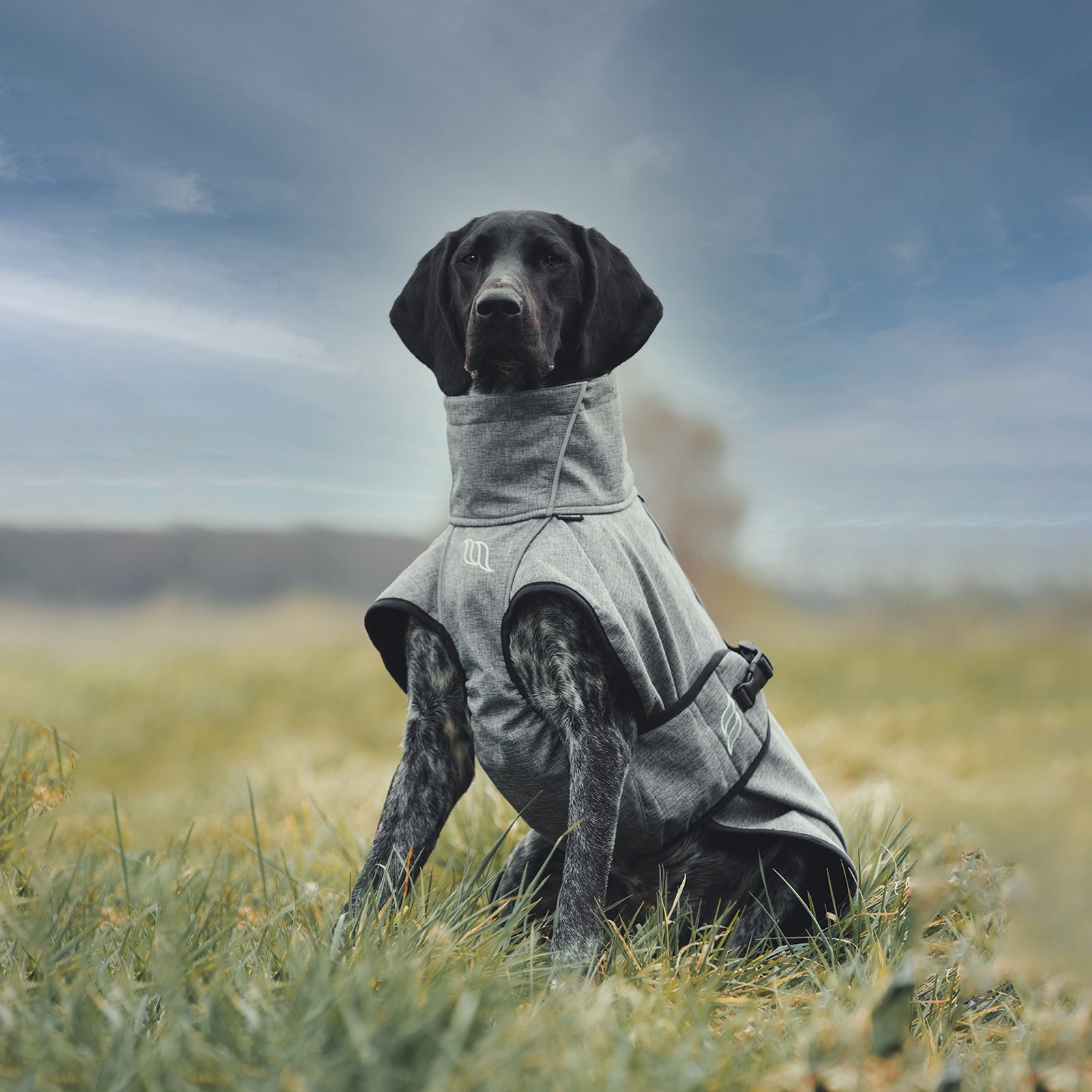 Back on Track Nella All-Round Dog Coat 55-65 cm Dog Accesories