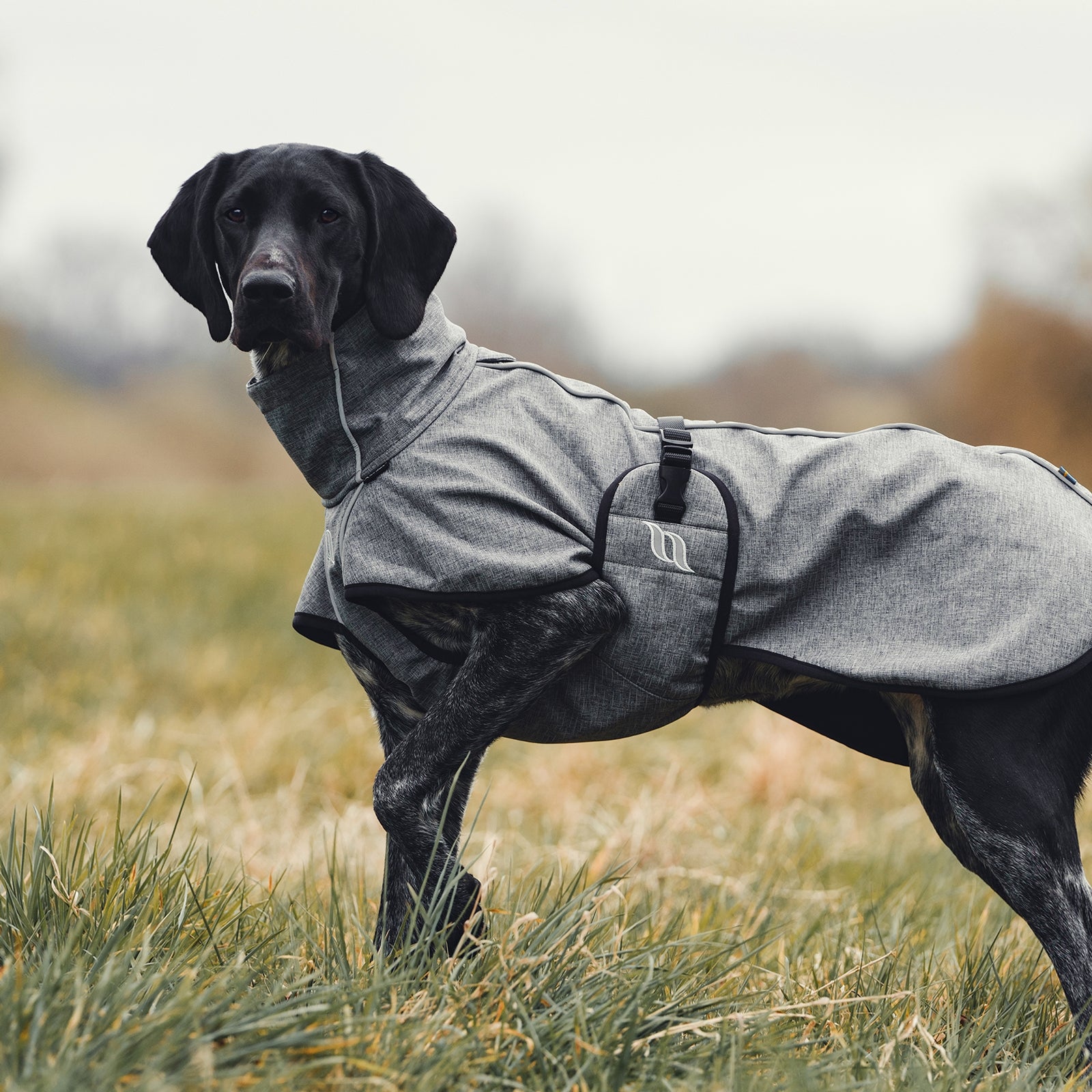 Back on Track Nella All-Round Dog Coat 55-65 cm Dog Accesories