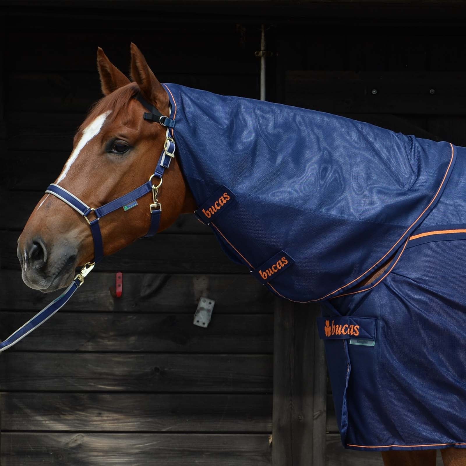 Bucas Cubre Cuello de Secado de Malla Terapéutico Mantas Caballo