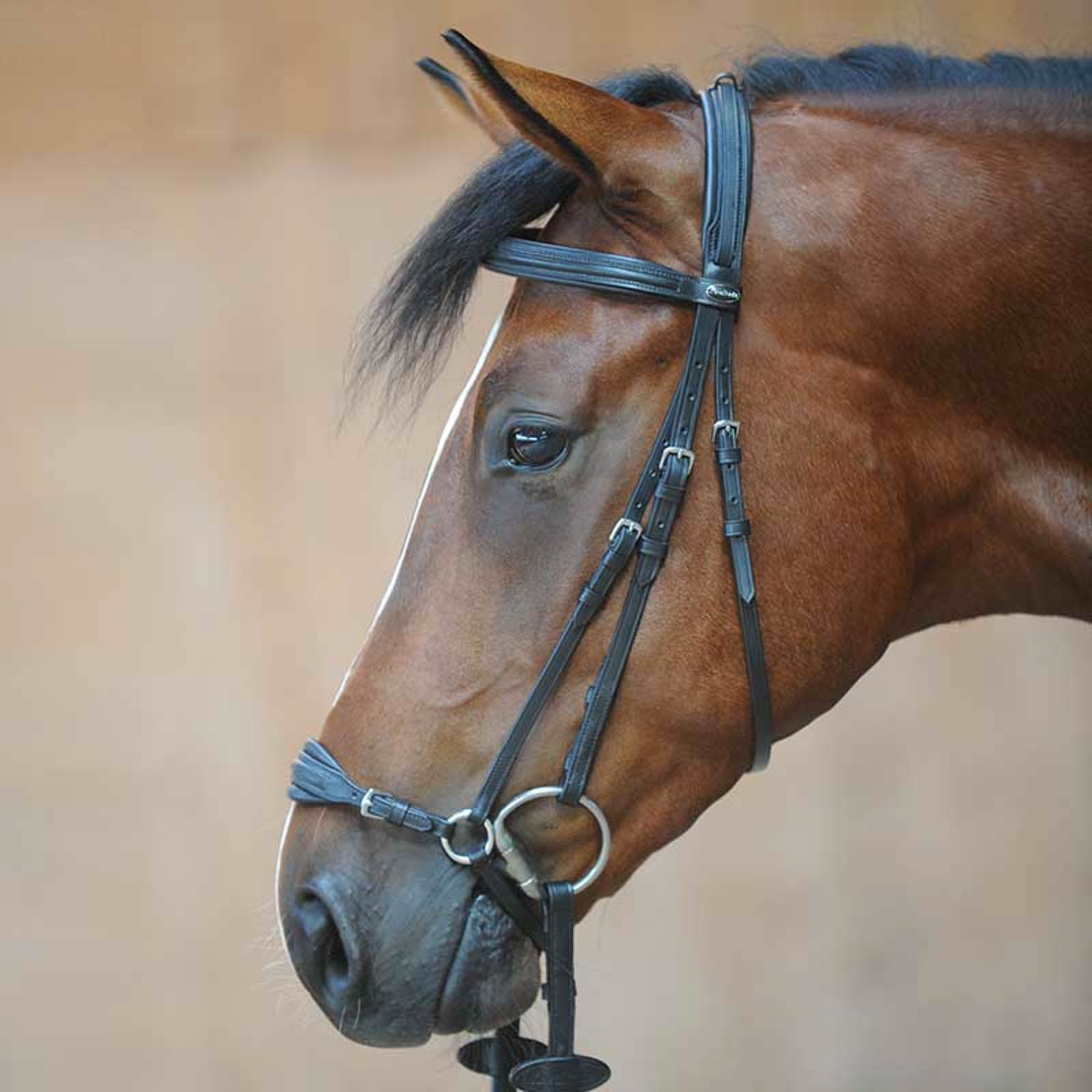 Kavalkade Levana Bridle Bridles & Reins