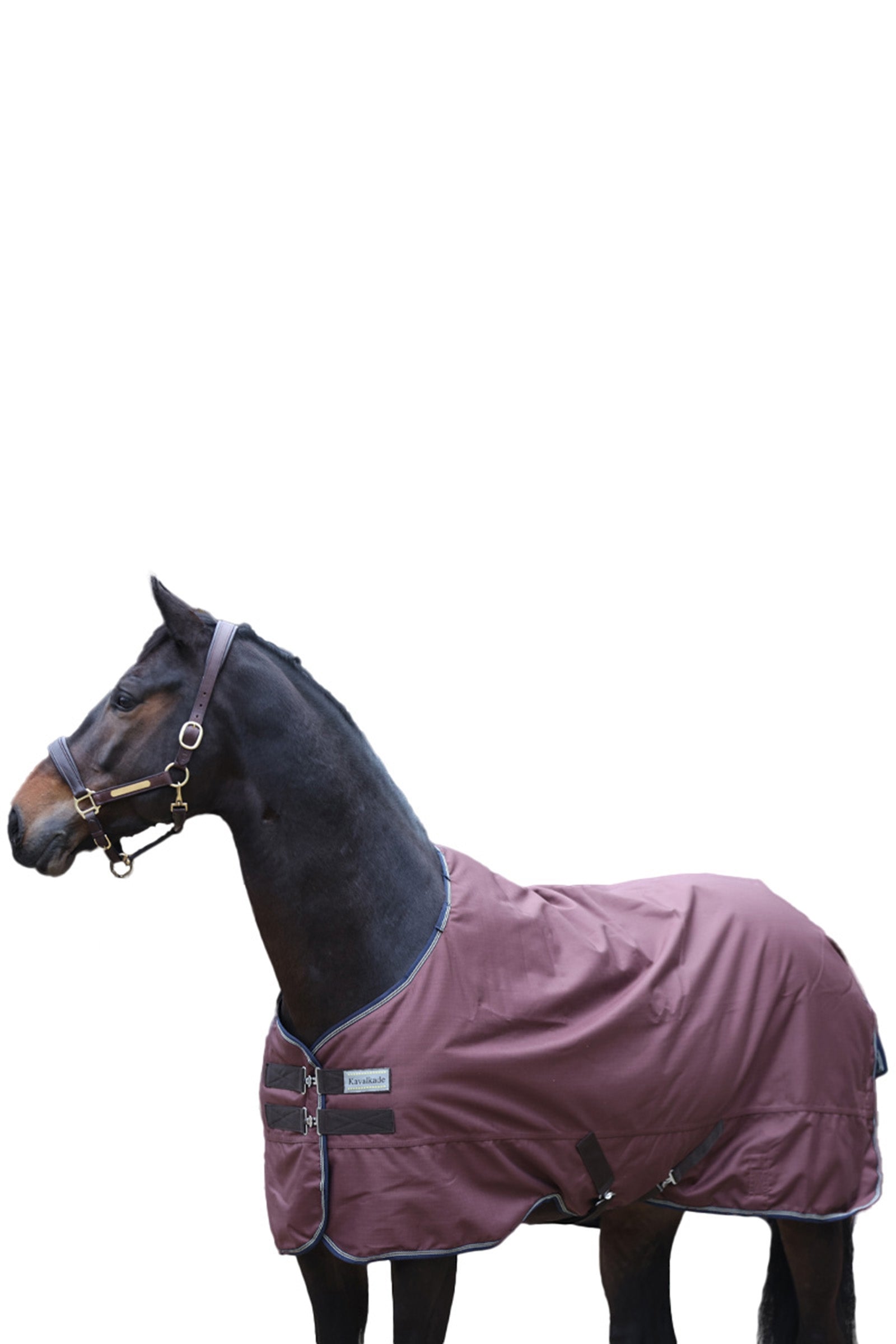 Kavalkade Alfombra Montreal Turnour, 0g Mantas Caballo