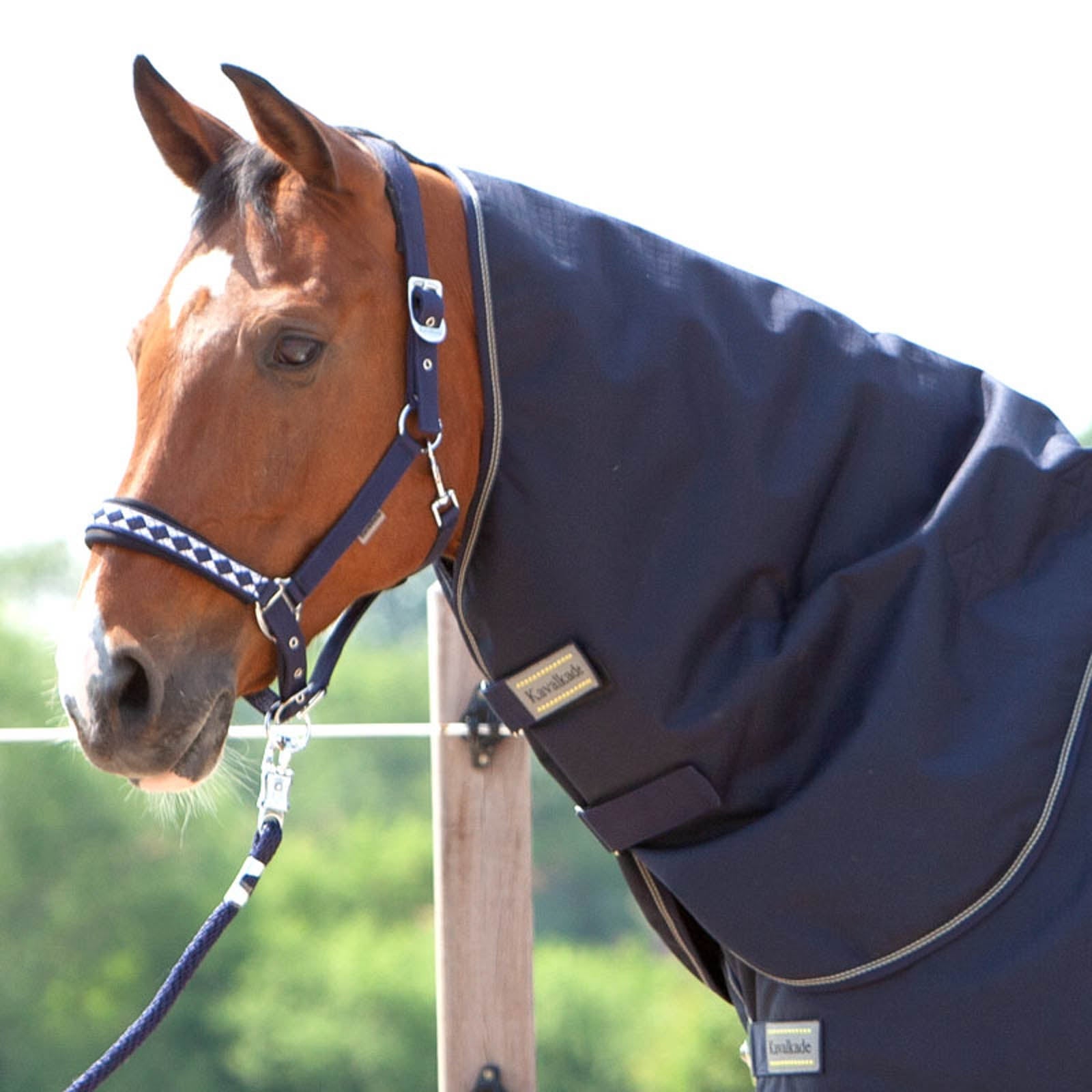 Kavalkade Neck for Montreal Turnout Rug, 100g Mantas Caballo