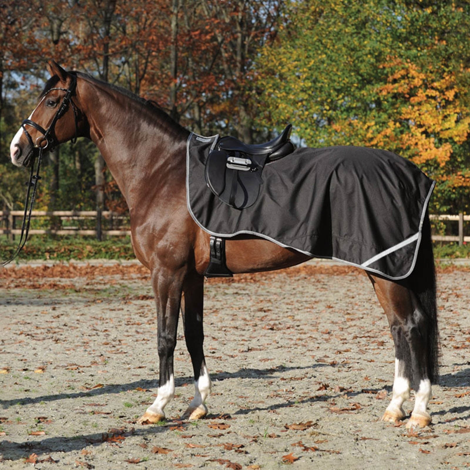 Kavalkade Hoja de ejercicios de lluvia Kavalkade Mantas Caballo