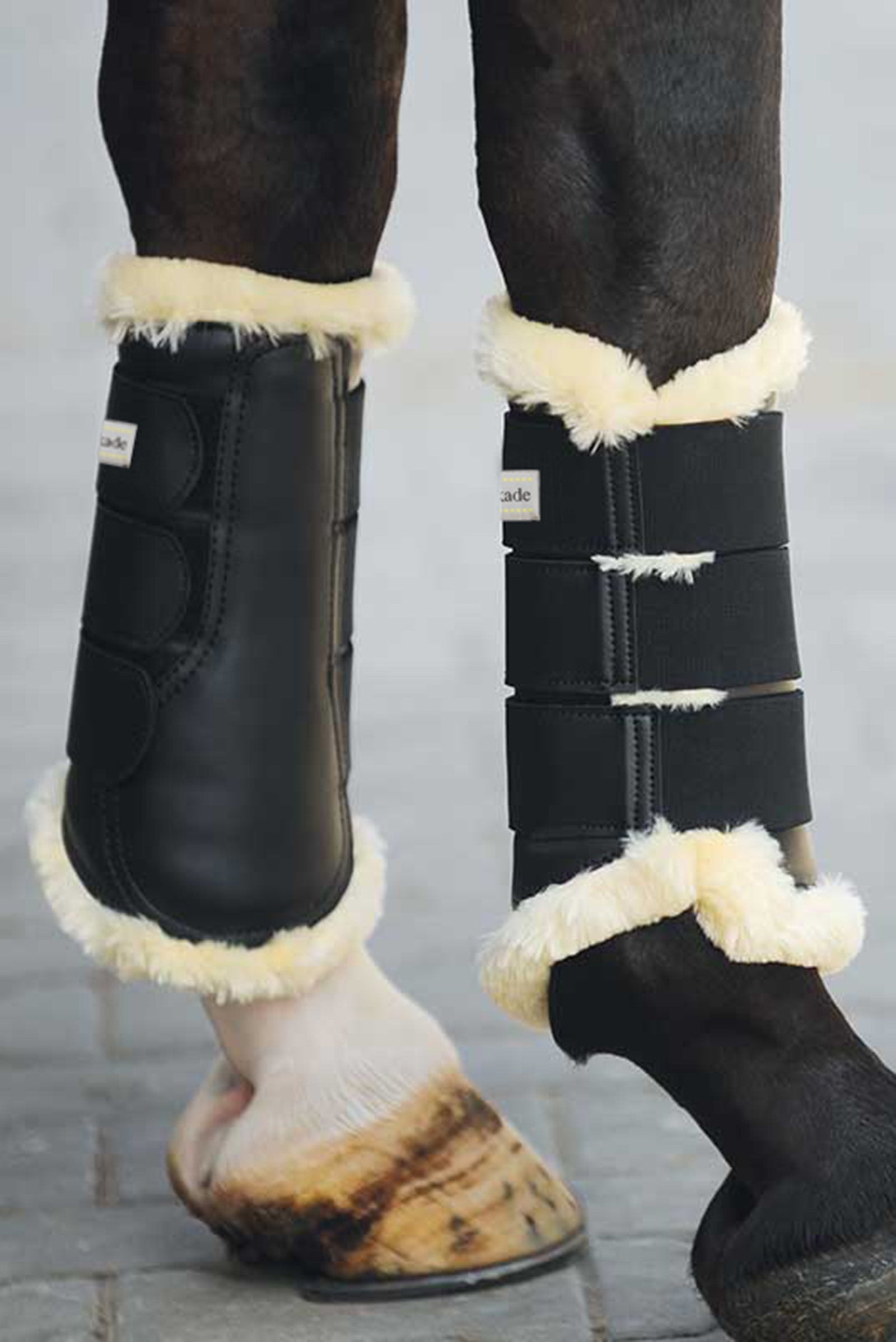 Kavalkade Botas de cepillado Show Leg Protection & Hoof Protection for Horses