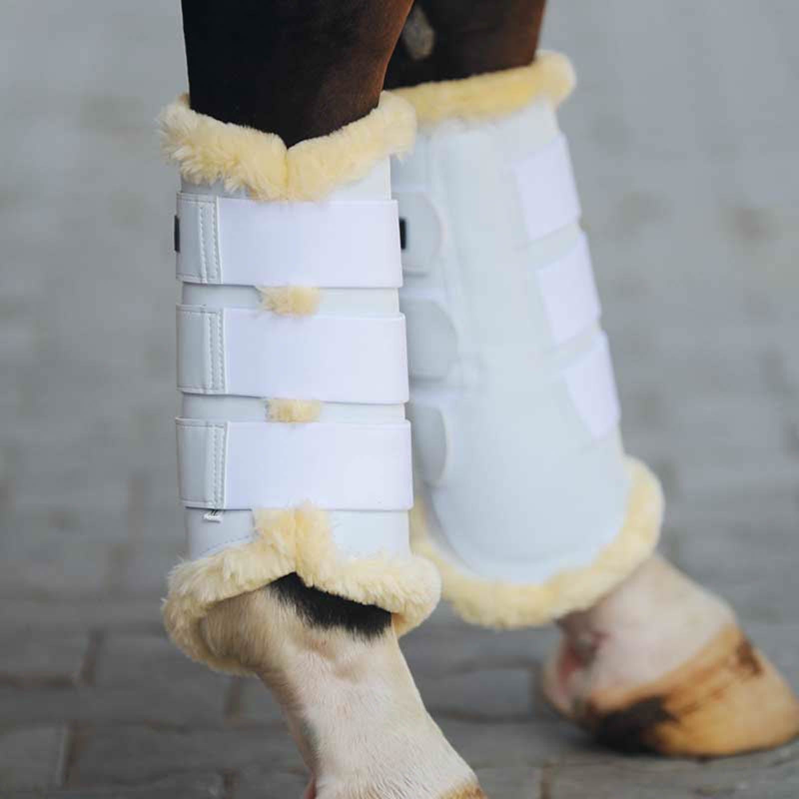 Kavalkade Botas de cepillado Show Leg Protection & Hoof Protection for Horses