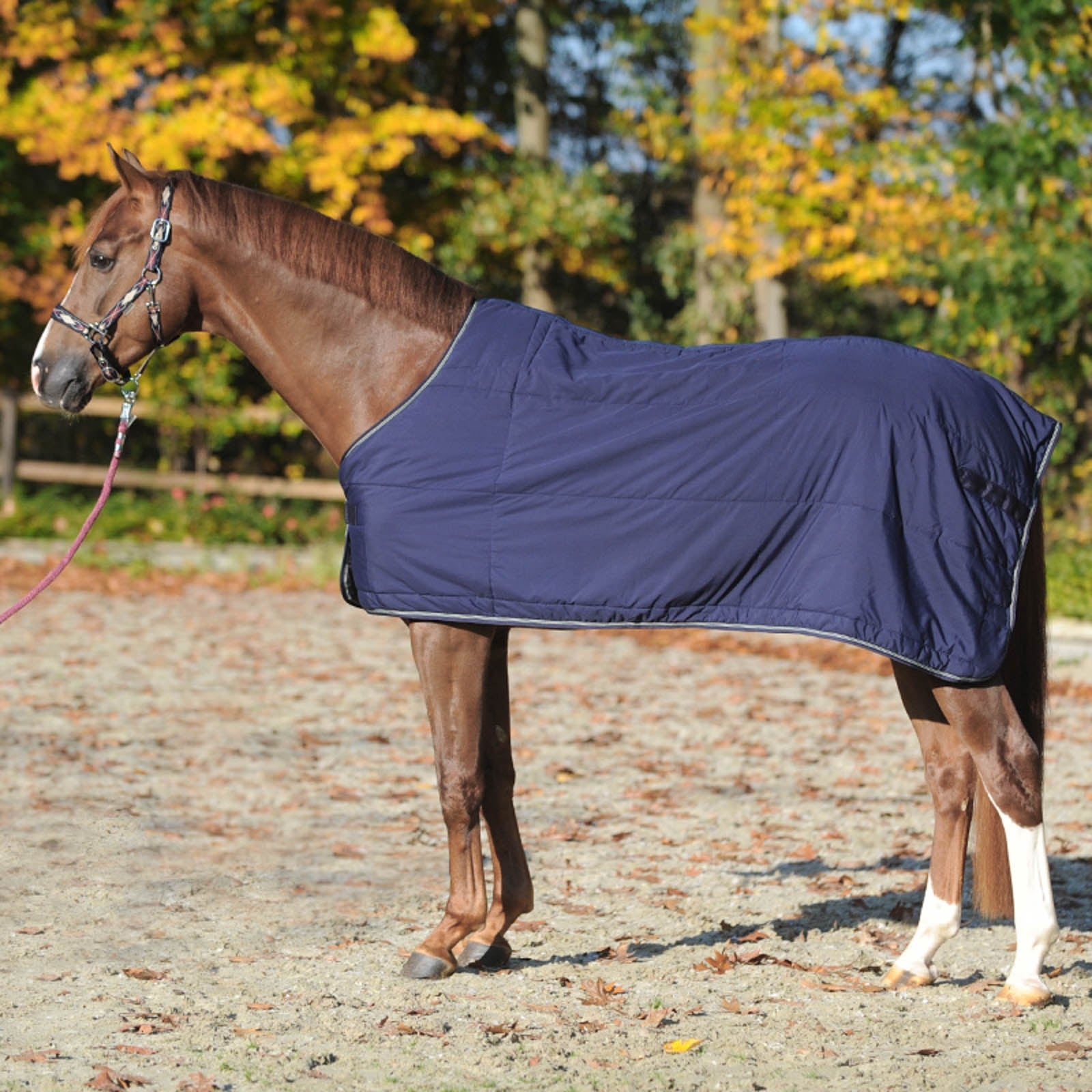 Kavalkade Under Rug 50g Horse Rugs