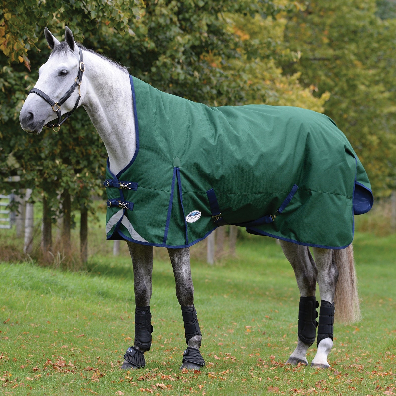 Weatherbeeta Comfitec Plus Dynamic II Turnout Rug With High Neck, 0g Horse Rugs