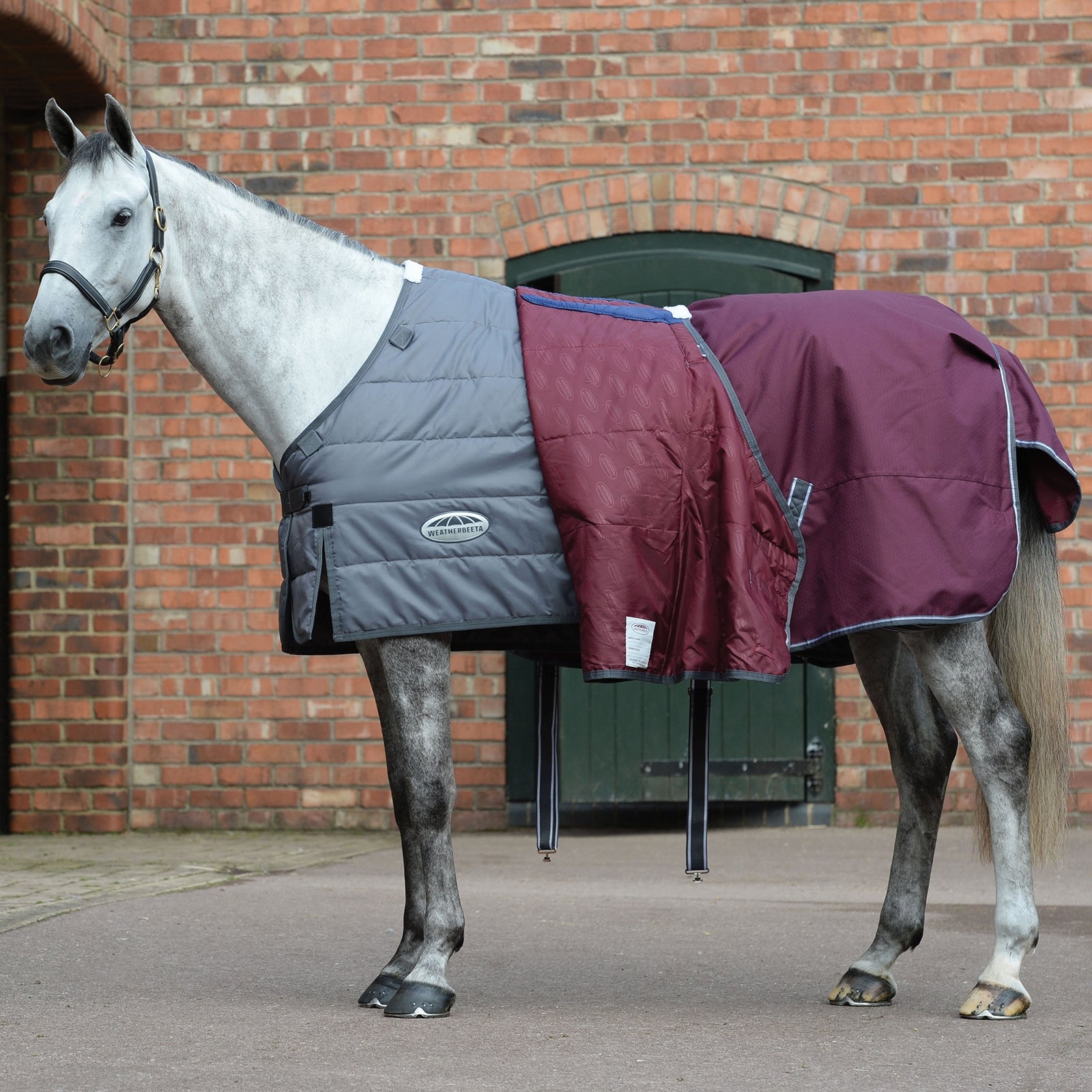 Weatherbeeta Comfitec Plus Dynamic II Turnout Rug, 100g Horse Rugs