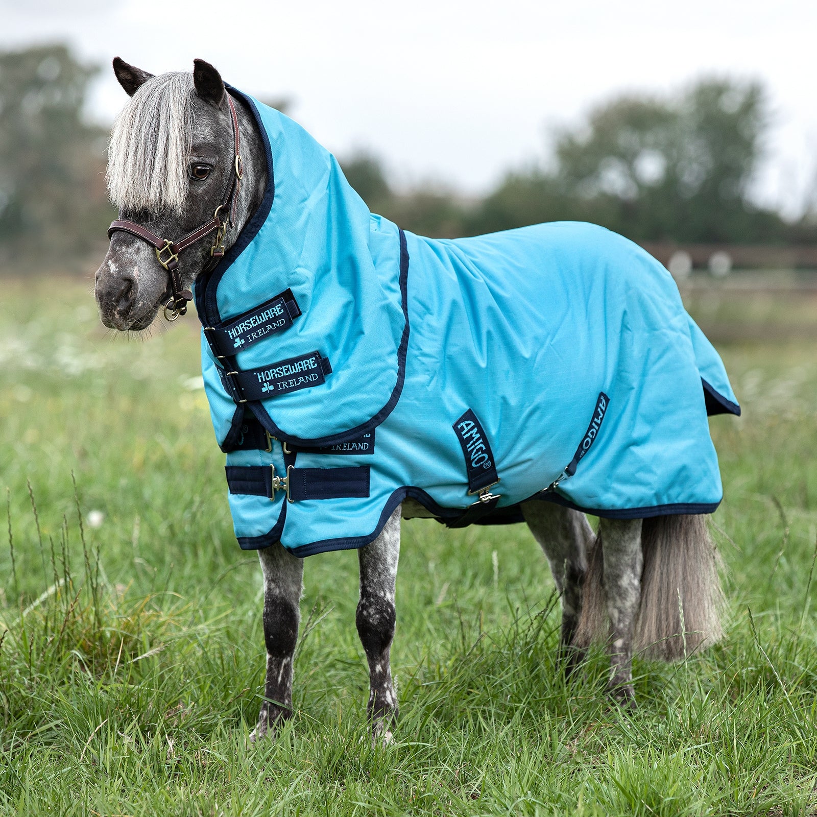 Horseware Amigo Hero 6 Petite Plus Turnout incl. Detachable Hood, 0g Horse Rugs