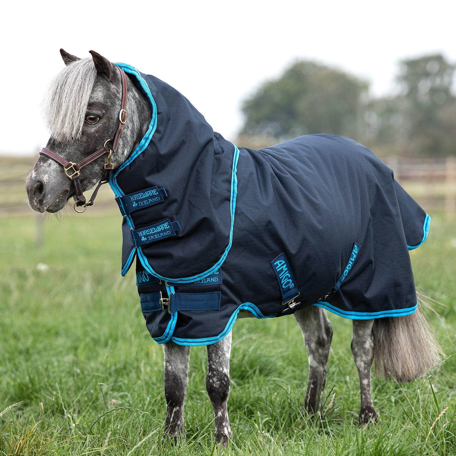 Horseware Amigo Hero 6 Petite Plus Turnout incl. Detachable Hood, 200g Horse Rugs
