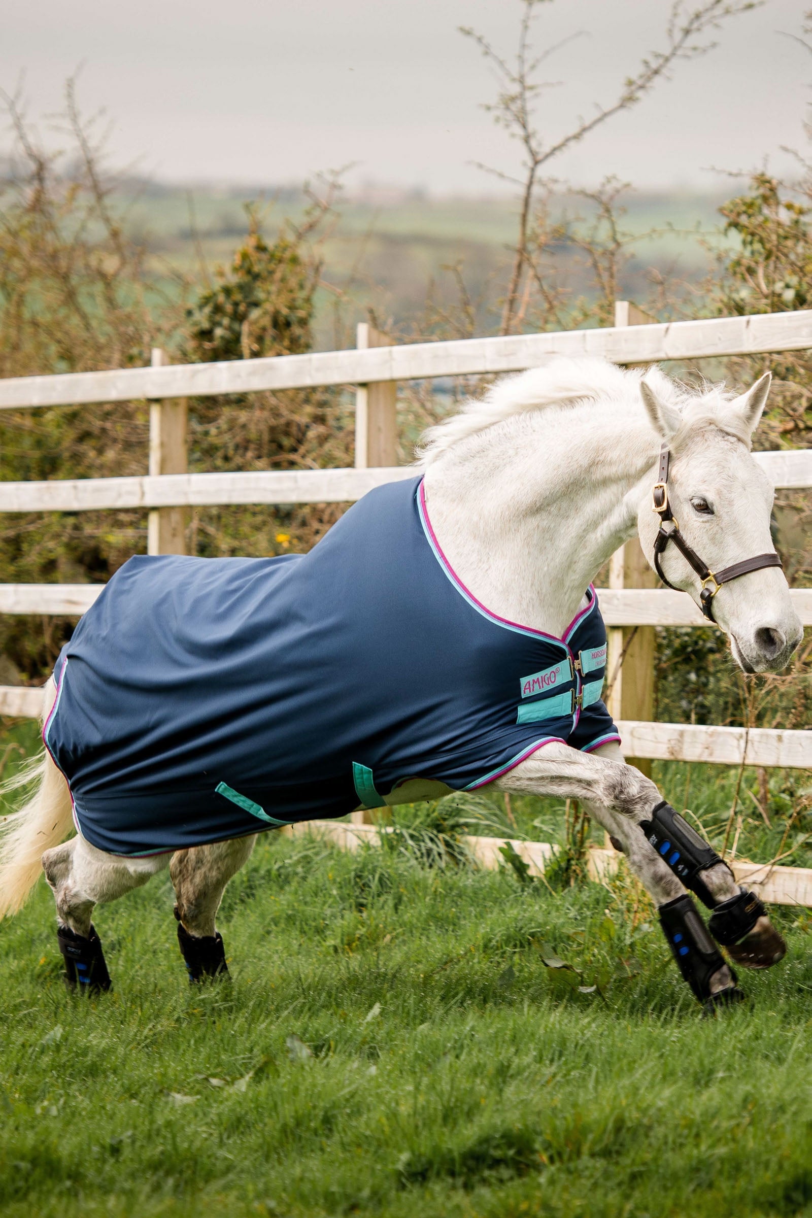 Horseware Amigo Hero 900 Pony Desvío, 200g Mantas Caballo