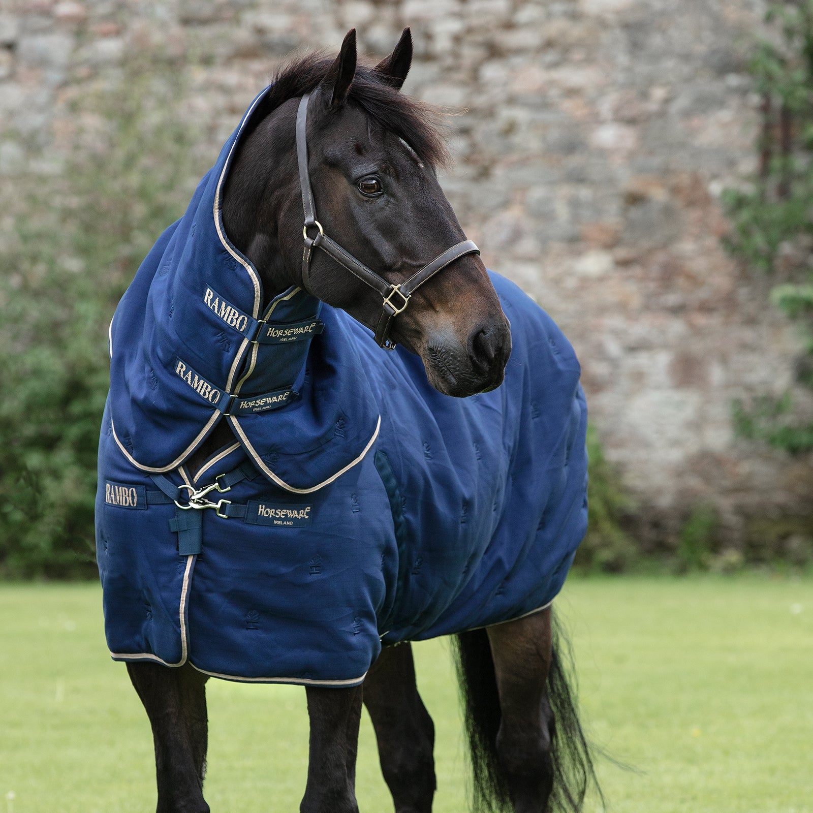 Horseware Rambo Deluxe Stable Plus incl. Detachable Hood, 200g Horse Rugs