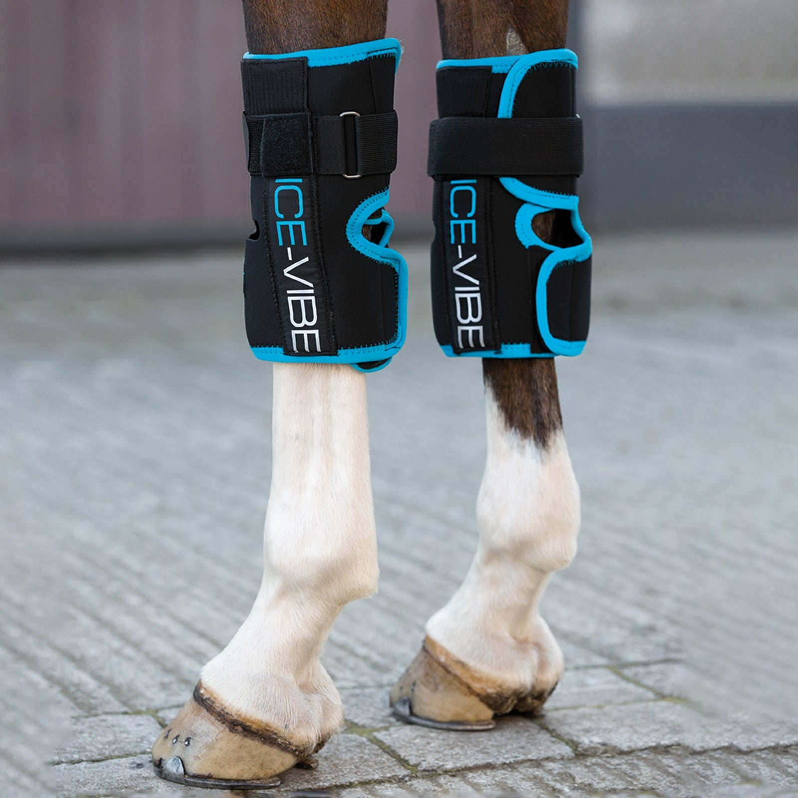 Horseware Rodillera Ice-Vibe Cuidado Salud
