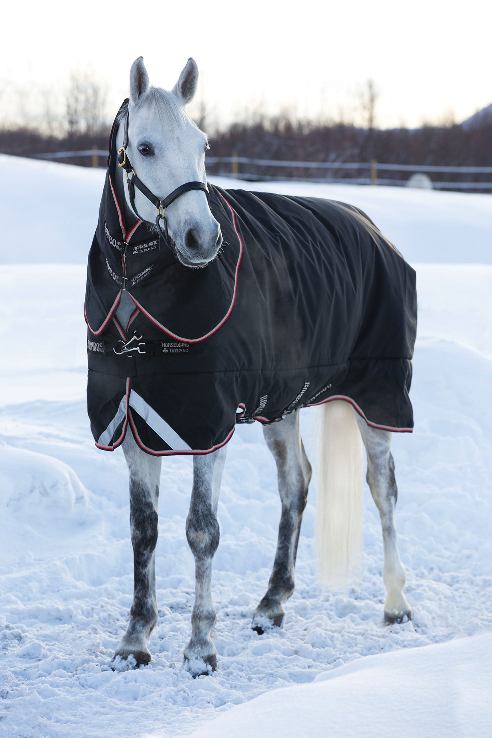 Horseware Rambo Supreme Turnout incl. Capucha Desmontable, 420g Mantas Caballo