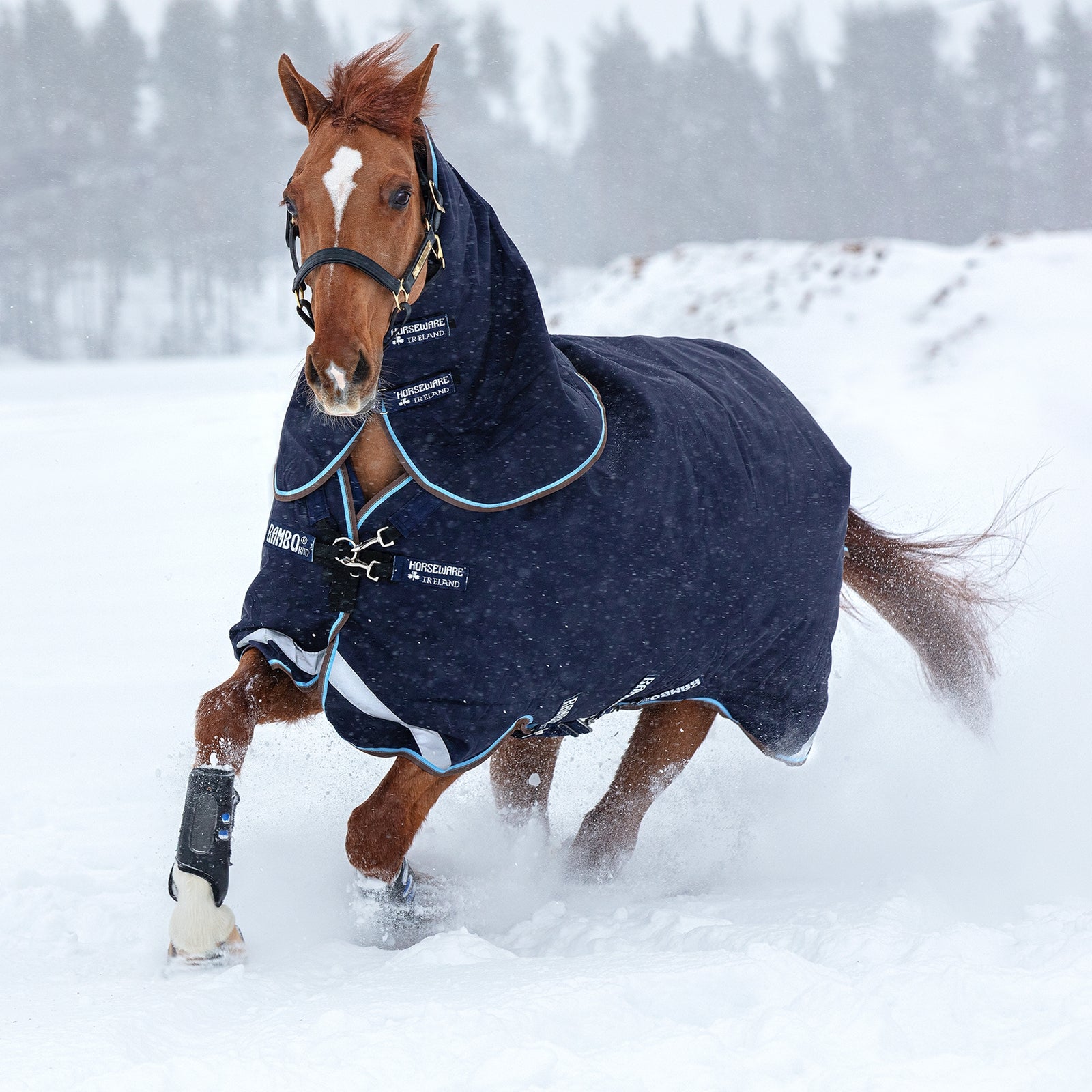 Horseware Rambo Duo Desvío incl. Capucha Desmontable, 100g Mantas Caballo