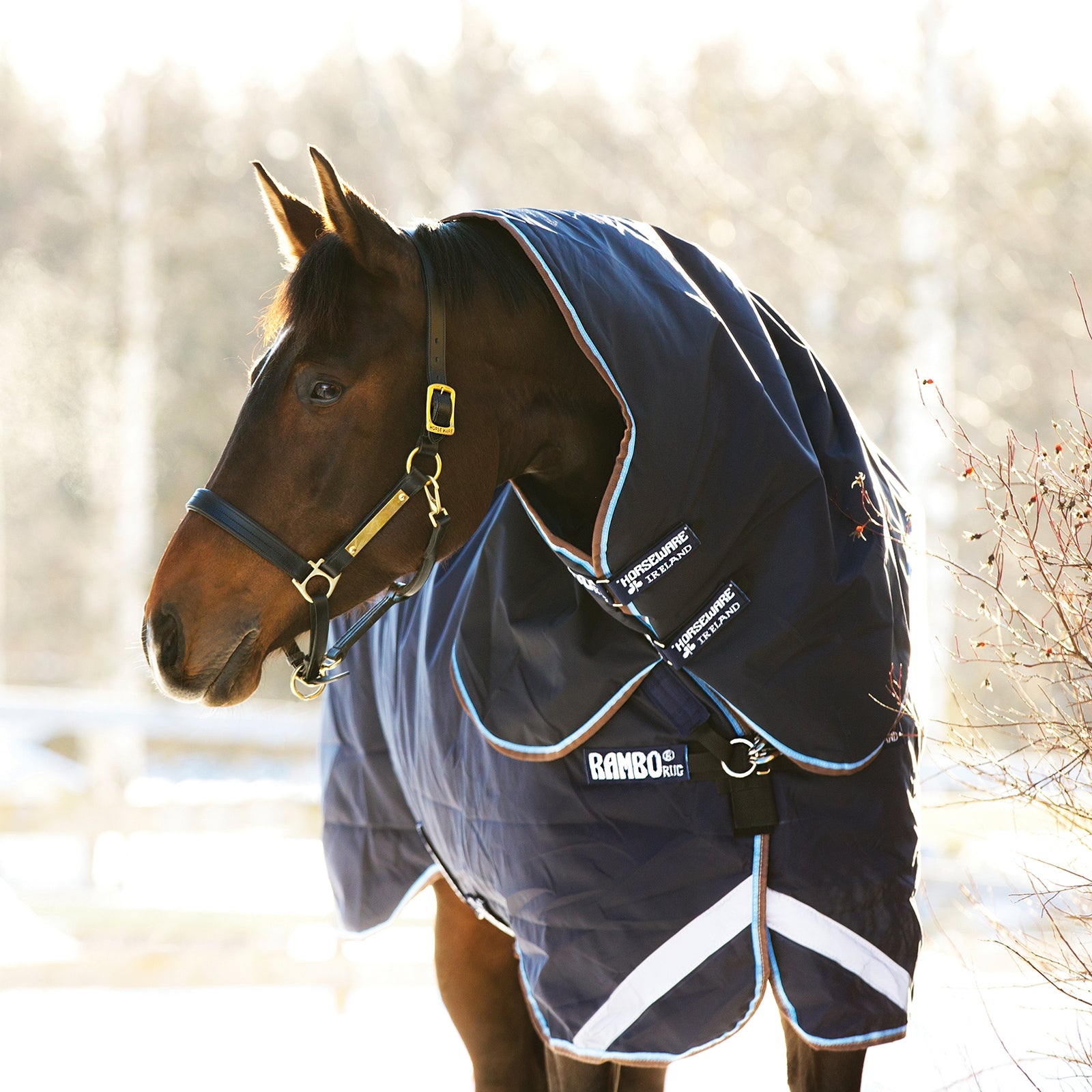 Horseware Rambo Duo Turnout incl. Detachable Hood, 100g Horse Rugs