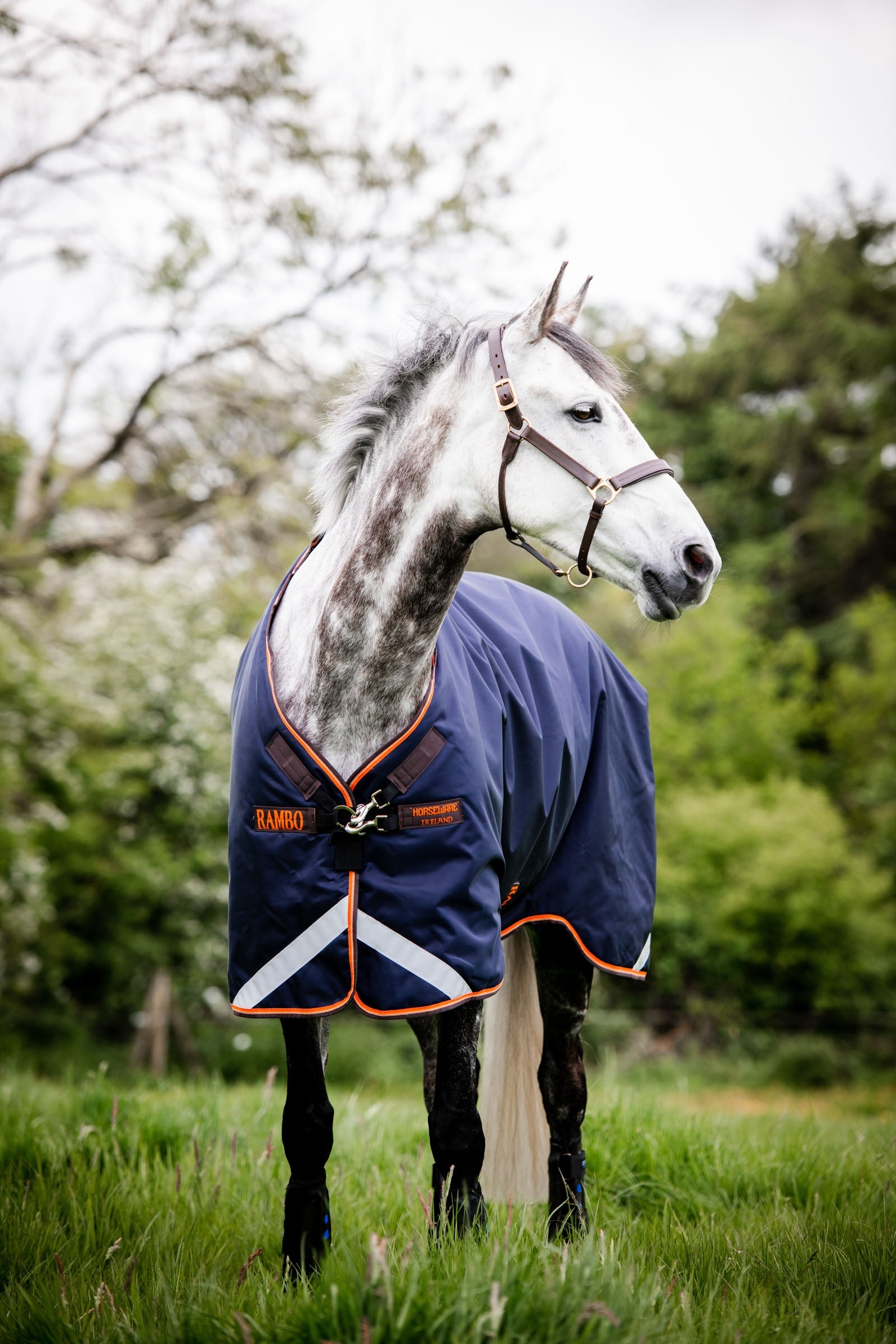 Horseware Rambo Original Turnout with Leg Arches, 100g Horse Rugs