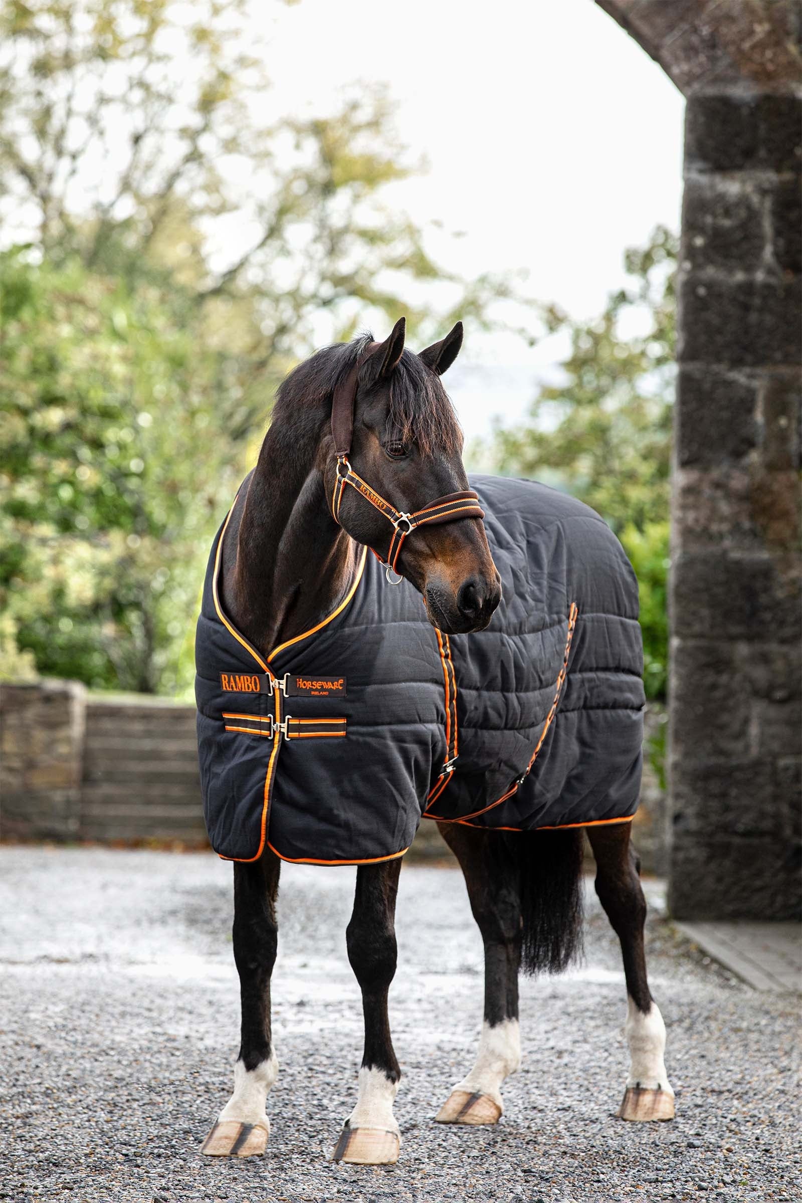 Horseware Manta de Cuadra Revestimiento Labrado Horseware, 200g Mantas Caballo